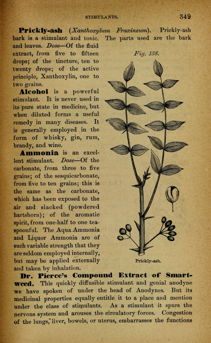 Prickly-ash (Xanthoxylum Fraxineum). Prickly-ash bark is a stimulant and tonic. The parts used are the bark and leaves. Dose—Of the fluid extract, from five to fifteen Fig. 138. drops; of the tincture, ten to twenty drops; of the active principle, Xanthoxylin, one to two grains. Alcohol is a powerful stimulant. It is never used in its pure state in medicine, but when diluted forms a useful remedy in many diseases. It is generally employed in the form of whisky, gin, rum, brandy, and wine. Ammonia is an excel- lent stimulant. Dose—Of the carbonate, from three to five grains; of the sesquicarbonate, from five to ten grains; this is the same as the carbonate, which has been exposed to the air and slacked (powdered hartshorn); of the aromatic spirit, from one-half to one tea- spoonful. The Aqua Ammonia and Liquor Ammonia are of such variable strength that they are seldom employed internally, but may be applied externally and taken by inhalation. Dr. Pierce's Compound Extract of Smart- weed. This quickly diffusible stimulant and genial anodyne we have spoken of under the head of Anodynes. But its medicinal properties equally entitle it to a place and mention under the class of stimulants. As a stimulant it spurs the nervous system and arouses the circulatory forces. Congestion of the lungs,* liver, bowels, or uterus, embarrasses the functions Prickly-ash.