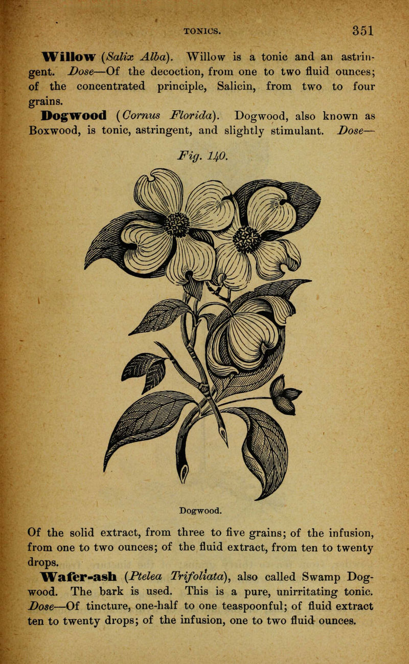 Willow {Salix Alba). Willow is a tonic and an astrin- gent. Dose—Of the decoction, from one to two fluid ounces; of the concentrated principle, Salicin, from two to four grains. Dogwood (Cornus Florida). Dogwood, also known as Boxwood, is tonic, astringent, and slightly stimulant. Dose— Fig. lJfi. Dogwood. Of the solid extract, from three to five grains; of the infusion, from one to two ounces; of the fluid extract, from ten to twenty drops. Waffer-ash {Ptelea Trifoliata), also called Swamp Dog- wood. The bark is used. This is a pure, unirritating tonic. Dose—Of tincture, one-half to one teaspoonful; of fluid extract ten to twenty drops; of the infusion, one to two fluid ounces.