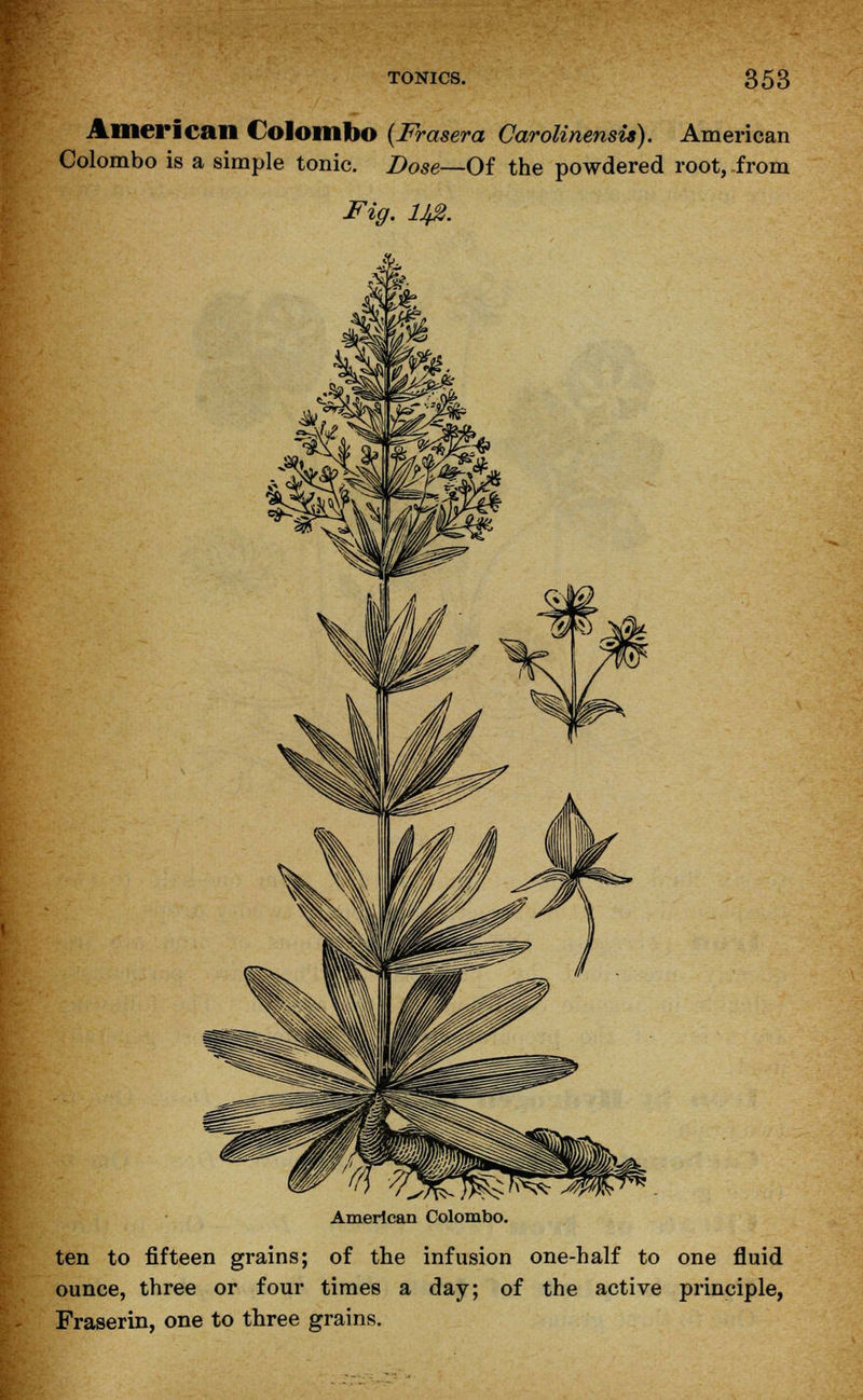 American Colombo (Frasera Carolinensis). American Colombo is a simple tonic. Dose—Of the powdered root,-from Fig. ljfi. American Colombo. ten to fifteen grains; of the infusion one-half to one fluid ounce, three or four times a day; of the active principle, Fraserin, one to three grains.