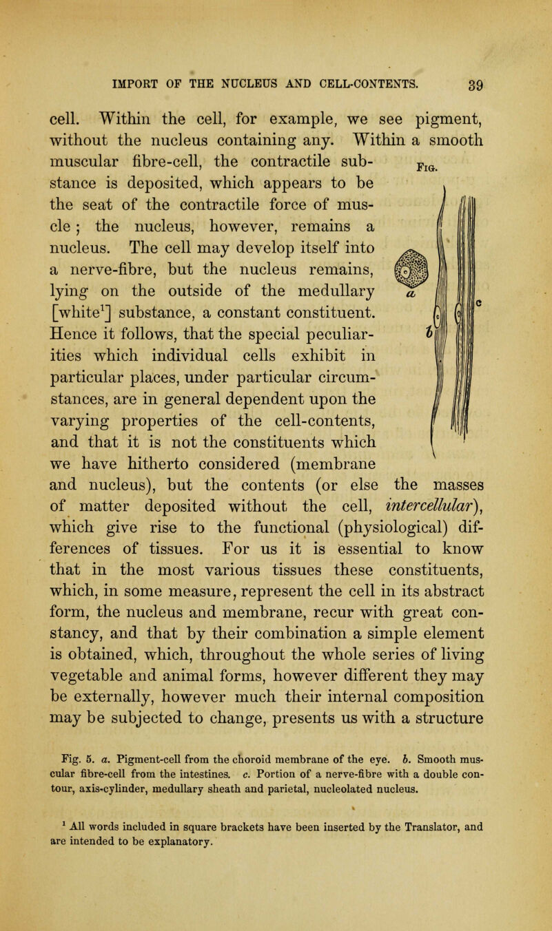 cell. Within the cell, for example, we see pigment, without the nucleus containing any. Within a smooth muscular fibre-cell, the contractile sub- FlG stance is deposited, which appears to be the seat of the contractile force of mus- cle ; the nucleus, however, remains a nucleus. The cell may develop itself into a nerve-fibre, but the nucleus remains, lying* on the outside of the medullary [white1] substance, a constant constituent. Hence it follows, that the special peculiar- ities which individual cells exhibit in particular places, under particular circum- stances, are in general dependent upon the varying properties of the cell-contents, and that it is not the constituents which we have hitherto considered (membrane and nucleus), but the contents (or else of matter deposited without the cell, intercellular), which give rise to the functional (physiological) dif- ferences of tissues. For us it is essential to know that in the most various tissues these constituents, which, in some measure, represent the cell in its abstract form, the nucleus and membrane, recur with great con- stancy, and that by their combination a simple element is obtained, which, throughout the whole series of living vegetable and animal forms, however different they may be externally, however much their internal composition may be subjected to change, presents us with a structure the masses Fig. 5. a. Pigment-cell from the choroid membrane of the eye. b. Smooth mus- cular fibre-cell from the intestines, c. Portion of a nerve-fibre with a double con- tour, axis-cylinder, medullary sheath and parietal, nucleolated nucleus. 1 All words included in square brackets have been inserted by the Translator, and are intended to be explanatory.