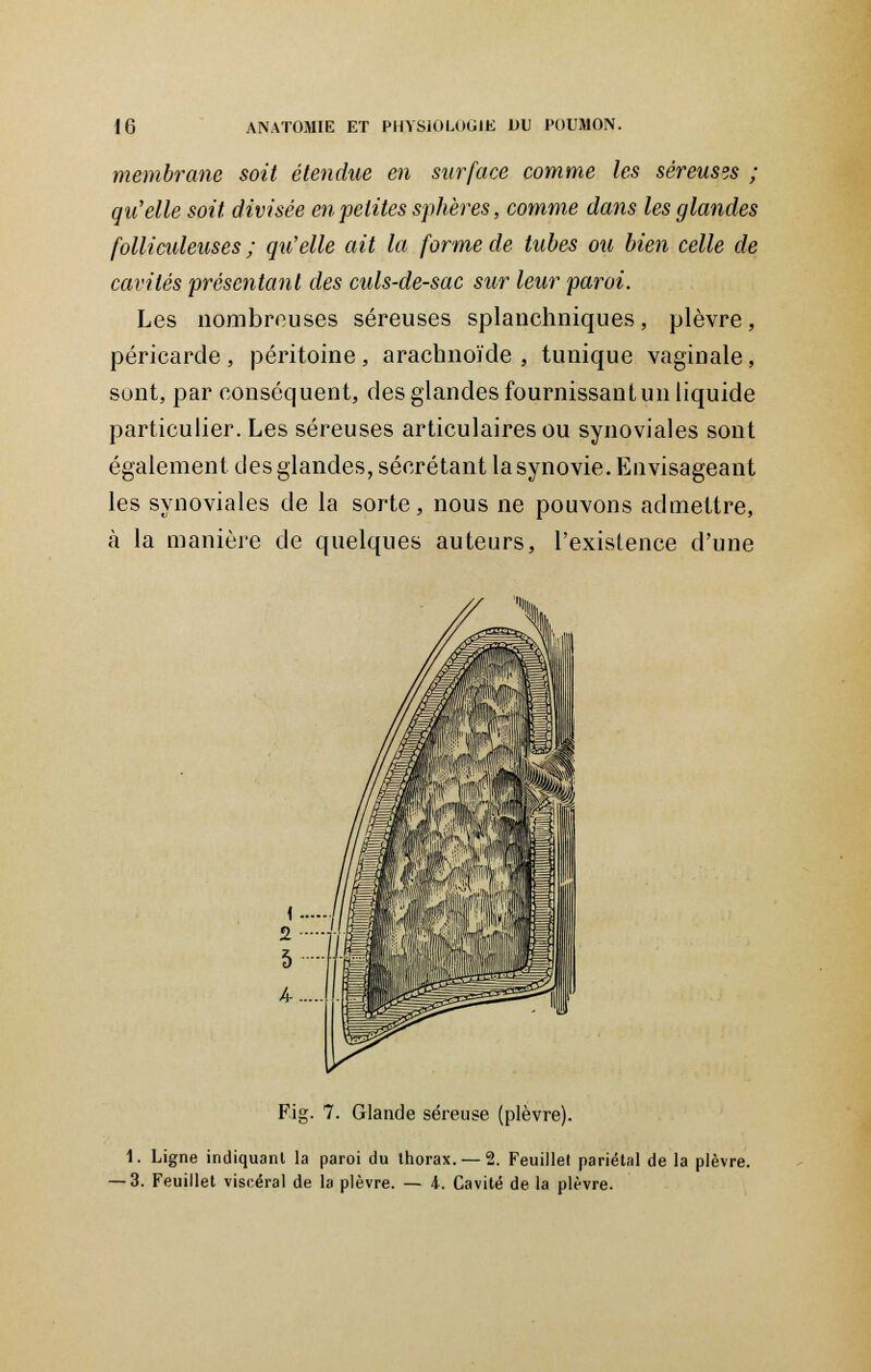 membrane soit étendue en surface comme les séreuses ; qu'elle soit divisée en petites sphères, comme dans les glandes folliculeuses ; qtCelle ait la forme de tubes ou bien celle de cavités présentant des culs-de-sac sur leur paroi. Les nombreuses séreuses splanchniques, plèvre, péricarde, péritoine, arachnoïde, tunique vaginale, sont, par conséquent, des glandes fournissant un liquide particulier. Les séreuses articulaires ou synoviales sont également des glandes, sécrétant la synovie. Envisageant les synoviales de la sorte, nous ne pouvons admettre, à la manière de quelques auteurs, l'existence d'une Fig. 7. Glande séreuse (plèvre). 1. Ligne indiquant la paroi du thorax. —2. Feuillet pariétal de la plèvre. -3. Feuillet viscéral de la plèvre. — i. Cavité de la plèvre.