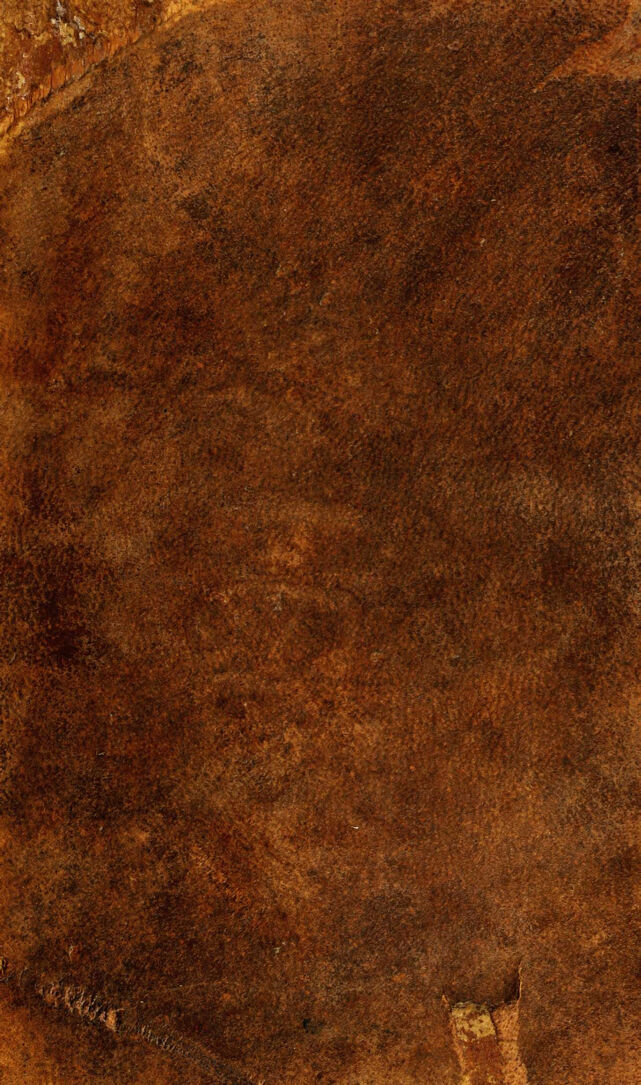 digitised image 2