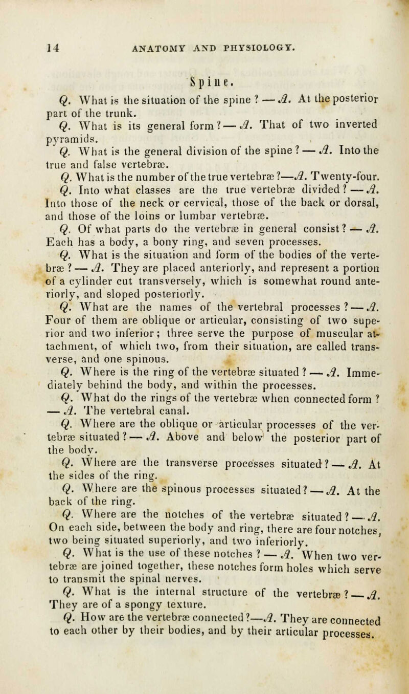 Spine. Q. What is the situation of the spine ? — A. At the posterior part of the trunk. Q. What is its general form? — A. Tnat of two inverted pyramids. Q. What is the general division of the spine ? — A. Into the true and false vertebras. Q. What is the number of the true vertebras?—A. Twenty-four. Q. Into what classes are the true vertebrae divided?— A. Into those of the neck or cervical, those of the back or dorsal, and those of the loins or lumbar vertebra. Q. Of what parts do the vertebras in general consist ? — A. Each has a body, a bony ring, and seven processes. Q. What is the situation and form of the bodies of the verte- brae ?— A. They are placed anteriorly, and represent a portion of a cylinder cut transversely, which is somewhat round ante- riorly, and sloped posteriorly. Q. What are the names of the vertebral processes? — A. Four of them are oblique or articular, consisting of two supe- rior and two inferior; three serve the purpose of muscular at- tachment, of which two, from their situation, are called trans- verse, and one spinous. Q. Where is the ring of the vertebrae situated ? — A. Imme- diately behind the body, and within the processes. Q. What do the rings of the vertebrae when connected form ? — A. The vertebral canal. Q. Where are the oblique or articular processes of the ver- tebrae situated ?— A. Above and below the posterior part of the body. Q. Where are the transverse processes situated? — A. At the sides of the ring. Q. Where are the spinous processes situated? — A. At the back of the ring. Q. Where are the notches of the vertebrae situated? — A. On each side, between the body and ring, there are four notches two being situated superiorly, and two inferiorly. Q. What is the use of these notches ? — A. When two ver- tebrae are joined together, these notches form holes which serve to transmit the spinal nerves. Q. What is the internal structure of the vertebrae? A. They are of a spongy texture. Q. How are the vertebrae connected ?—A. They are connected to each other by their bodies, and by their articular processes.