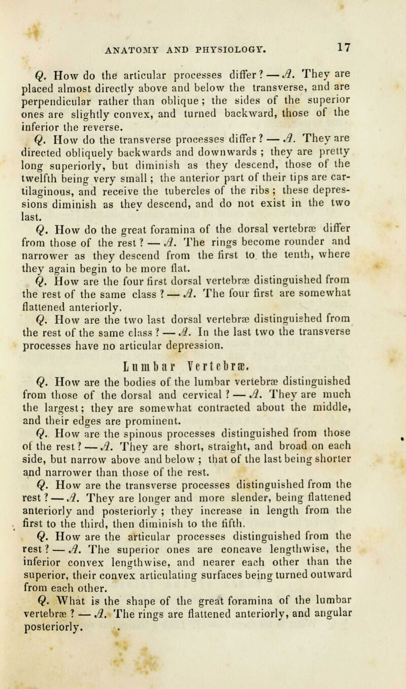 Q. How do the articular processes differ?—A. They are placed almost directly above and below the transverse, and are perpendicular rather than oblique; the sides of the superior ones are slightly convex, and turned backward, those of the inferior the reverse. Q. How do the transverse processes differ ? — A. They are directed obliquely backwards and downwards ; they are pretty long superiorly, but diminish as they descend, those of the twelfth being very small; the anterior part of their tips are car- tilaginous, and receive the tubercles of the ribs; these depres- sions diminish as they descend, and do not exist in the two last. Q. How do the great foramina of the dorsal vertebras differ from those of the rest ? — A. The rings become rounder and narrower as they descend from the first to the tenth, where they again begin to be more flat. Q. How are the four first dorsal vertebra? distinguished from the rest of the same class ? — A. The four first are somewhat flattened anteriorly. Q. How are the two last dorsal vertebras distinguished from the rest of the same class ? — A. In the last two the transverse processes have no articular depression. Lumbar Vertebrae. Q. How are the bodies of the lumbar vertebra? distinguished from those of the dorsal and cervical ? — A. They are much the largest; they are somewhat contracted about the middle, and their edges are prominent. Q. How are the spinous processes distinguished from those of the rest? — A. They are short, straight, and broad on each side, but narrow above and below ; that of the last being shorter and narrower than those of the rest. Q. How are the transverse processes distinguished from the rest ? — A. They are longer and more slender, being flattened anteriorly and posteriorly ; they increase in length from the first to the third, then diminish to the fifth. Q. How are the articular processes distinguished from the rest ? — A. The superior ones are concave lengthwise, the inferior convex lengthwise, and nearer each other than the superior, their convex articulating surfaces being turned outward from each other. Q. What is the shape of the great foramina of the lumbar vertebrae ? — A. The rings are flattened anteriorly, and angular posteriorly.