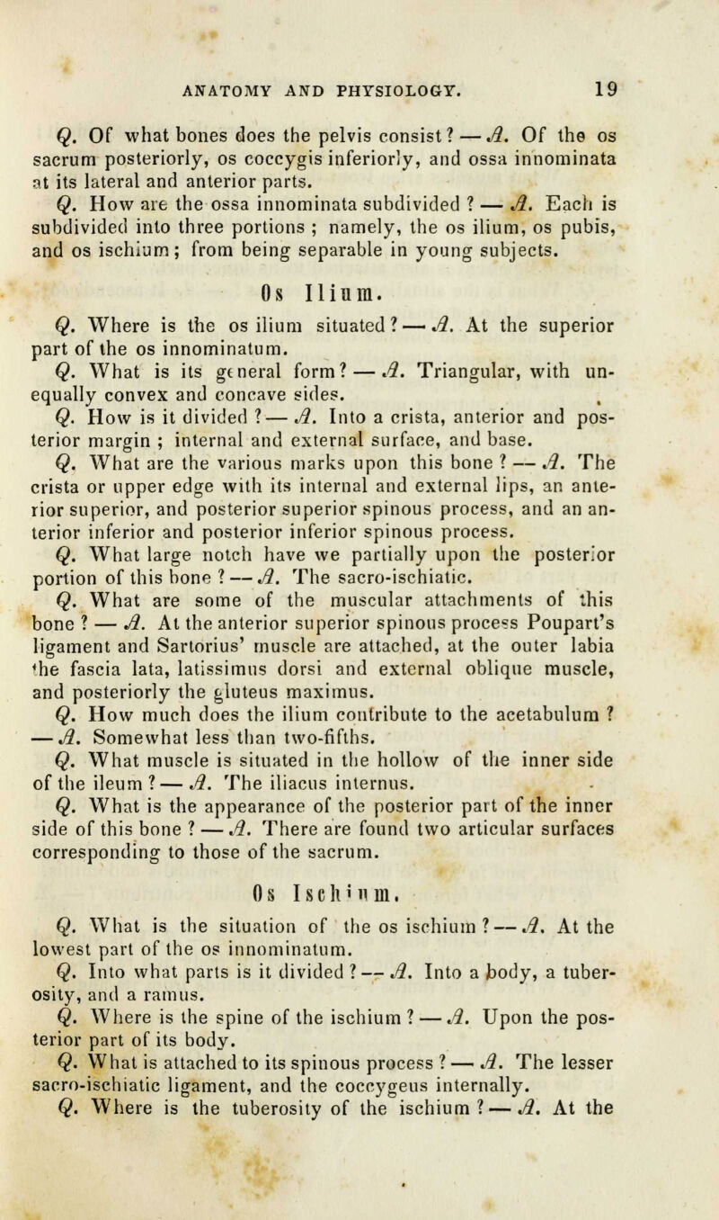 Q. Of what bones does the pelvis consist?—A. Of the os sacrum posteriorly, os coccygis inferiorly, and ossa innominata at its lateral and anterior parts. Q. How are the ossa innominata subdivided ? — A. Each is subdivided into three portions ; namely, the os ilium, os pubis, and os ischium; from being separable in young subjects. Os Ilium. Q. Where is the os ilium situated? — A. At the superior part of the os innominatum. Q. What is its general form? — A. Triangular, with un- equally convex and concave sides. Q. How is it divided ?— A. Into a crista, anterior and pos- terior margin ; internal and external surface, and base. Q. What are the various marks upon this bone ? — A. The crista or upper edge with its internal and external lips, an ante- rior superior, and posterior superior spinous process, and an an- terior inferior and posterior inferior spinous process. Q. What large notch have we partially upon the posterior portion of this bone ? — A. The sacro-ischiatic. Q. What are some of the muscular attachments of this bone ? — A. At the anterior superior spinous process Poupart's ligament and Sartorius' muscle are attached, at the outer labia <he fascia lata, latissimus dorsi and external oblique muscle, and posteriorly the gluteus maximus. Q. How much does the ilium contribute to the acetabulum ? — A. Somewhat less than two-fifths. Q. What muscle is situated in the hollow of the inner side of the ileum?—A. The iliacus internus. Q. What is the appearance of the posterior part of the inner side of this bone ? — A. There are found two articular surfaces corresponding to those of the sacrum. Os Ischium. Q. What is the situation of the os ischium ? — A. At the lowest part of the os innominatum. Q. Into what parts is it divided ? — A. Into a body, a tuber- osity, and a ramus. Q. Where is the spine of the ischium ? — A. Upon the pos- terior part of its body. Q. What is attached to its spinous process ? — A. The lesser sacro-ischiatic ligament, and the coccygeus internally. Q. Where is the tuberosity of the ischium? — A. At the