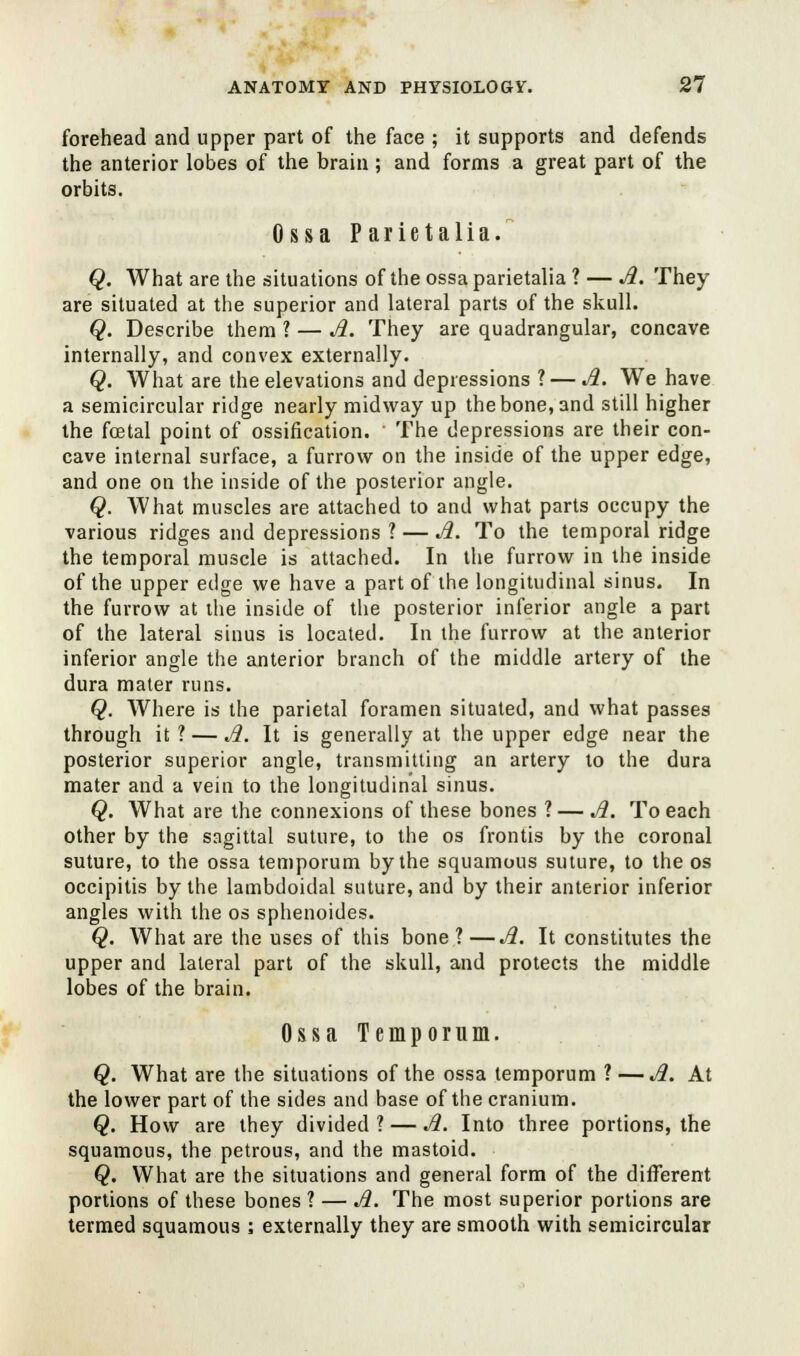 forehead and upper part of the face ; it supports and defends the anterior lobes of the brain; and forms a great part of the orbits. Ossa Parietalia. Q. What are the situations of the ossa parietalia ? — A. They are situated at the superior and lateral parts of the skull. Q. Describe them 1 — A. They are quadrangular, concave internally, and convex externally. Q. What are the elevations and depressions ? — A. We have a semicircular ridge nearly midway up the bone, and still higher the fcetal point of ossification. The depressions are their con- cave internal surface, a furrow on the inside of the upper edge, and one on the inside of the posterior angle. Q. What muscles are attached to and what parts occupy the various ridges and depressions ? — A. To the temporal ridge the temporal muscle is attached. In the furrow in the inside of the upper edge we have a part of the longitudinal sinus. In the furrow at the inside of the posterior inferior angle a part of the lateral sinus is located. In the furrow at the anterior inferior angle the anterior branch of the middle artery of the dura mater runs. Q. Where is the parietal foramen situated, and what passes through it ? — A. It is generally at the upper edge near the posterior superior angle, transmitting an artery to the dura mater and a vein to the longitudinal sinus. Q. What are the connexions of these bones ?— A. To each other by the sagittal suture, to the os frontis by the coronal suture, to the ossa temporum by the squamous suture, to the os occipitis by the lambdoidal suture, and by their anterior inferior angles with the os sphenoides. Q. What are the uses of this bone ? —A. It constitutes the upper and lateral part of the skull, and protects the middle lobes of the brain. Ossa Temporum. Q. What are the situations of the ossa temporum ? — A. At the lower part of the sides and base of the cranium. Q. How are they divided? — A. Into three portions, the squamous, the petrous, and the mastoid. Q. What are the situations and general form of the different portions of these bones ? — A. The most superior portions are termed squamous ; externally they are smooth with semicircular