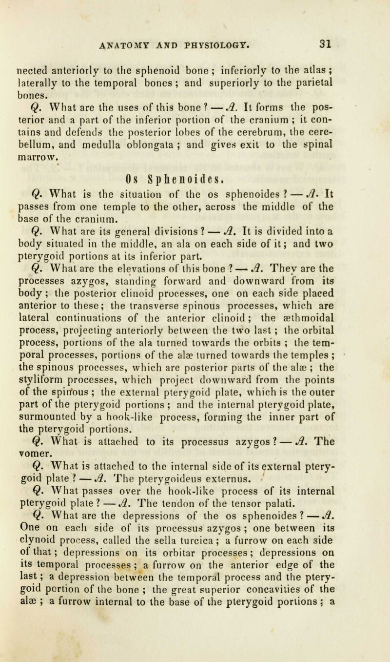 nected anteriorly to the sphenoid bone ; inferiorly to the atlas ; laterally to the temporal bones ; and superiorly to the parietal bones. Q. What are the uses of this bone? — A. It forms the pos- terior and a part of the inferior portion of the cranium ; it con- tains and defends the posterior lobes of the cerebrum, the cere- bellum, and medulla oblongata ; and gives exit to the spinal marrow. Os Sphenoides. Q. What is the situation of the os sphenoides ? — A- It passes from one temple to the other, across the middle of the base of the cranium. Q. What are its general divisions ? — A. It is divided into a body situated in the middle, an ala on each side of it; and two pterygoid portions at its inferior part. Q. What are the elevations of this bone ? — A. They are the processes azygos, standing forward and downward from its body; the posterior clinoid processes, one on each side placed anterior to these; the transverse spinous processes, which are lateral continuations of the anterior clinoid ; the aethmoidal process, projecting anteriorly between the two last; the orbital process, portions of the ala turned towards the orbits ; the tem- poral processes, portions of the ala? turned towards the temples ; the spinous processes, which are posterior parts of the alae ; the styliform processes, which project downward from the points of the spirfous ; the external pterygoid plate, which is the outer part of the pterygoid portions; and the internal pterygoid plate, surmounted by a hook like process, forming the inner part of the pterygoid portions. Q. What is attached to its processus azygos ? — A. The vomer. Q. What is attached to the internal side of its external ptery- goid plate ?— A. The pterygoideus externus. Q. What passes over the hook-like process of its internal pterygoid plate ? —A. The tendon of the tensor palati. Q. What are the depressions of the os sphenoides?—A. One on each side of its processus azygos ; one between its clynoid process, called the sella turcica; a furrow on each side of that; depressions on its orbitar processes; depressions on its temporal processes; a furrow on the anterior edge of the last; a depression between the temporal process and the ptery- goid portion of the bone ; the great superior concavities of the alae ; a furrow internal to the base of the pterygoid portions; a