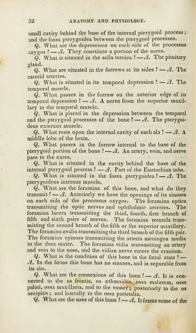 small cavity behind the base of the internal pterygoid process ; and the fossa pterygoidea between the pterygoid processes. Q. What are the depressions on each side of the processus azvgos ? —A. They constitute a portion of the nares. Q. What is situated in the sella turcica ?—A. The pituitary gland. Q. What are situated in the furrows at its sides ? — A. The carotid arteries. Q. What is situated in its temporal depression ? — A. The temporal muscle. Q. What passes in the furrow on the anterior edge of it3 temporal depression ? — A. A nerve from the superior maxil- lary to the temporal muscle. Q. What is placed in the depression between the temporal and the pterygoid processes of the bone? — A. The pterygoi- deus externus muscle. Q. What rests upon the internal cavity of each ala ? — A. A middle lobe of the brain. Q. What passes in the furrow internal to the base of the pterygoid portion of the bone ? — A. An artery, vein, and nerve pass to the nares. Q. What is situated in the cavity behind the base of the internal pterygoid process ? —A. Part of the Eustachian tube. Q. What is situated in the fossa pterygoidea? — A. The pterygoideus internus muscle. Q. What are the foramina of this bone, and what do they transmit? — A. Anteriorly we have the openings of its sinuses on each side of the processus azygos. The foramina optica transmitting the optic nerves and ophthalmic arteries. The foramina lacera transmitting the third, fourth, first branch of fifth and sixth pairs of nerves. The foramina rotunda trans- mitting the second branch of the fifth or the superior maxillary. The foramina ovaliatransmittingthe third branch of the fifth pair. The foramina spinosa transmitting the arteria meningea media to the dura mater. The foramina vidia transmitting an artery and vein to the nose, and the vidian nerve enters the cranium. Q. What is the condition of this bone in the foetal state? — A. In the fostus this bone has no sinuses, and is separable from its alee. Q. What are the connexions of this bone? — A. It is con- nected to the os frontis, os aethmoides, ossa malarum, ossa palati, ossa maxillaria, and to the vomer; posteriorly to the os occipitis ; and laterally to the ossa parietalia. Q. What are the uses of this bone ? — A. It fonms some of the