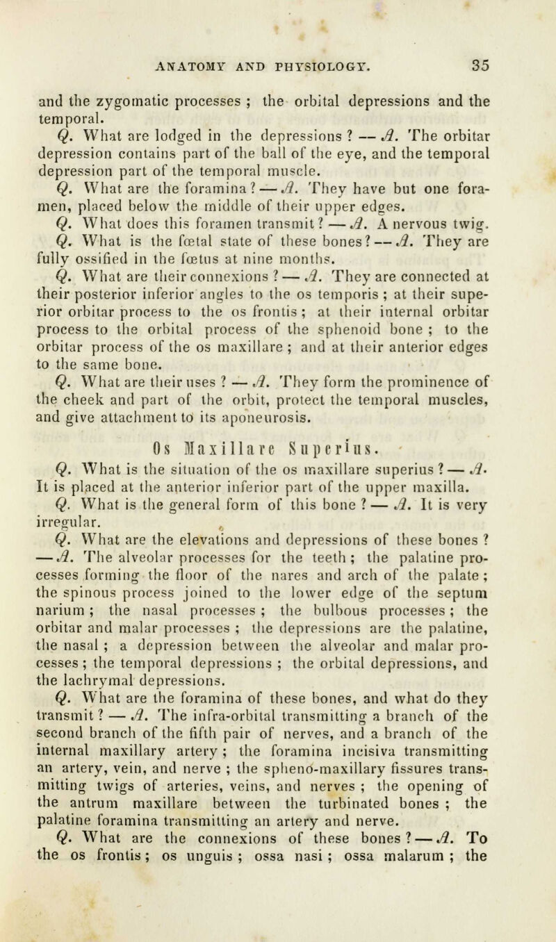 and the zygomatic processes ; the orbital depressions and the temporal. Q. What are lodged in the depressions ? — A. The orbitar depression contains part of the ball of the eye, and the temporal depression part of the temporal muscle. Q. What are the foramina ? — A. They have but one fora- men, placed below the middle of their upper edges. Q. What does this foramen transmit? —A. A nervous twig. Q. What is the fcetal state of these bones? — A. They are fully ossified in the foetus at nine months. Q. What are their connexions ? — A. They are connected at their posterior inferior angles to the os temporis; at their supe- rior orbitar process to the os frontis ; at their internal orbitar process to the orbital process of the sphenoid bone ; to the orbitar process of the os maxillare ; and at their anterior edges to the same bone. Q. What are their uses ? — A. They form the prominence of the cheek and part of the orbit, protect the temporal muscles, and give attachment to its aponeurosis. 0 s Maxillare S u p c r i u s. Q. What is the situation of the os maxillare superius?—A- It is placed at the anterior inferior part of the upper maxilla. Q. What is the general form of this bone ?— A. It is very irregular. Q. What are the elevations and depressions of these bones ? — A. The alveolar processes for the teeth; the palatine pro- cesses forming the floor of the nares and arch of the palate; the spinous process joined to the lower edge of the septum narium; the nasal processes ; the bulbous processes; the orbitar and malar processes ; the depressions are the palatine, the nasal ; a depression between the alveolar and malar pro- cesses; the temporal depressions ; the orbital depressions, and the lachrymal depressions. Q. What are the foramina of these bones, and what do they transmit? — A. The infra-orbital transmitting a branch of the second branch of the fifth pair of nerves, and a branch of the internal maxillary artery ; the foramina incisiva transmitting an artery, vein, and nerve ; the spheno-maxillary fissures trans- mitting twigs of arteries, veins, and nerves ; the opening of the antrum maxillare between the turbinated bones ; the palatine foramina transmitting an artery and nerve. Q. What are the connexions of these bones? — A. To the os frontis; os unguis ; ossa nasi; ossa malarum ; the