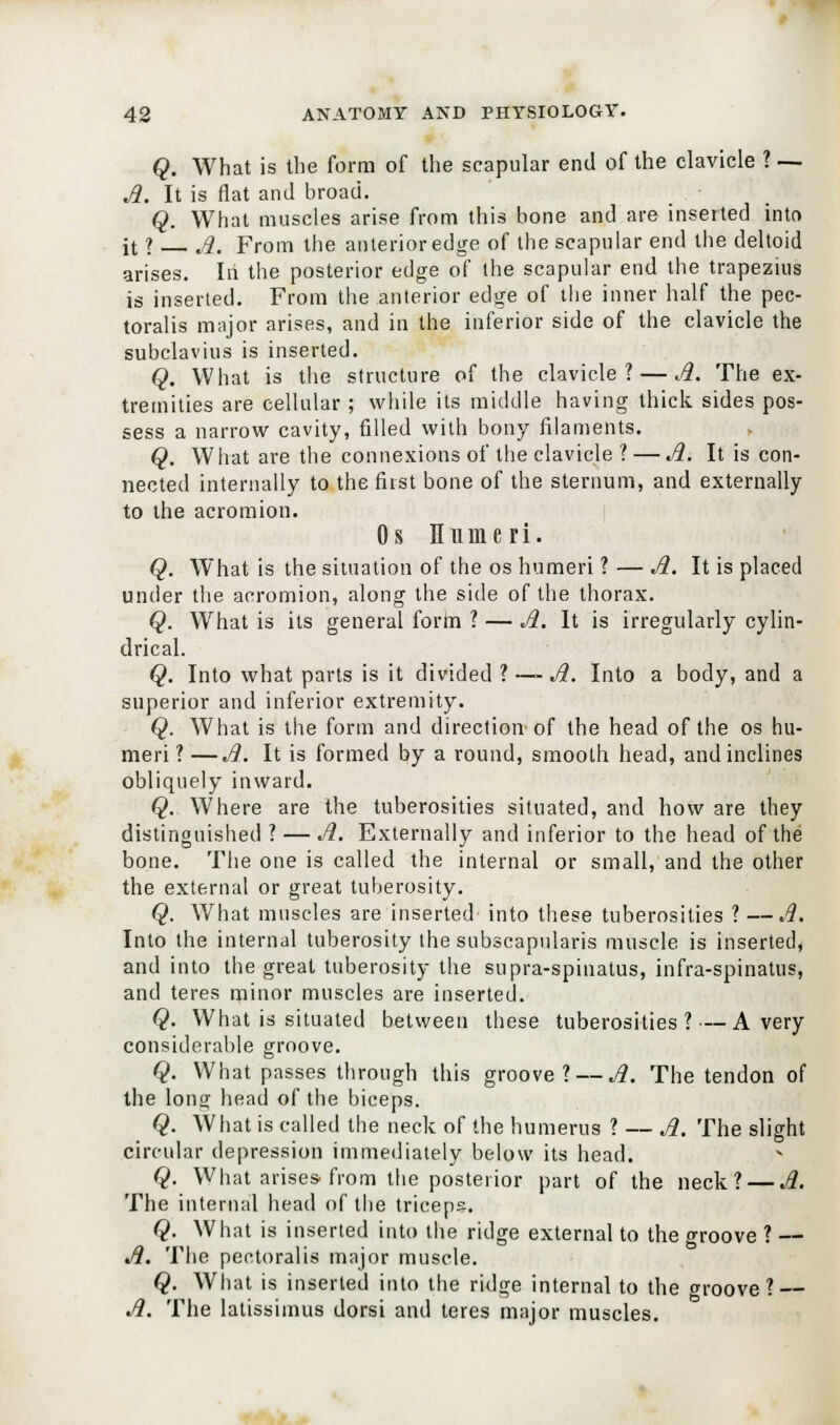 Q. What is the form of the scapular end of the clavicle ? — A. It is flat and broad. Q. What muscles arise from this bone and are inserted into it ? A. From the anterior edge of the scapular end the deltoid arises. In the posterior edge of the scapular end the trapezius is inserted. From the anterior edge of the inner half the pec- toralis major arises, and in the inferior side of the clavicle the subclavius is inserted. Q. What is the structure of the clavicle? — A. The ex- tremities are cellular; while its middle having thick sides pos- sess a narrow cavity, filled with bony filaments. Q. What are the connexions of the clavicle ? — A. It is con- nected internally to the first bone of the sternum, and externally to the acromion. Os Humeri. Q. What is the situation of the os humeri ? — A. It is placed under the acromion, along the side of the thorax. Q. What is its general form ? — A. It is irregularly cylin- drical. Q. Into what parts is it divided ? —- A. Into a body, and a superior and inferior extremity. Q. What is the form and direction of the head of the os hu- meri?— A. It is formed by a round, smooth head, and inclines obliquely inward. Q. Where are the tuberosities situated, and how are they distinguished ? — A. Externally and inferior to the head of the bone. The one is called the internal or small, and the other the external or great tuberosity. Q. What muscles are inserted into these tuberosities ? —A. Into the internal tuberosity the subscapulars muscle is inserted, and into the great tuberosity the supra-spinatus, infra-spinatus, and teres minor muscles are inserted. Q. What is situated between these tuberosities?—Avery considerable groove. Q. What passes through this groove? — A. The tendon of the long head of the biceps. Q. What is called the neck of the humerus ? — A. The slight circular depression immediately below its head. Q. What arises, from the posterior part of the neck? — A. The internal head of the triceps. Q. What is inserted into the ridge external to the groove ? — A. The pectoralis major muscle. Q. What is inserted into the ridge internal to the groove? A. The latissimus dorsi and teres major muscles.