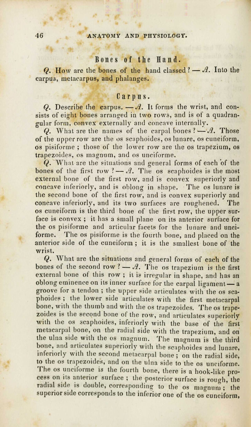 Bones of the Hand. Q. How are the bones of the hand classed ? — A. Into the carpus, metacarpus, and phalanges. Carpus. Q. Describe the carpus. —A. It forms the wrist, and con- sists of eight bones arranged in two rows, and is of a quadran- gular form, convex externally and concave internally. Q. What are the names of the carpal bones ? ■—A. Those of the upper row are the os scaphoides, os lunare, os cuneiform, os pisiforme ; those of the lower row are the os trapezium, os trapezoides, os magnum, and os unciforme. Q. What are the situations and general forms of each of the bones of the first row ?—A. The os scaphoides is the most external bone of the first row, and is convex superiorly and concave inferiorly, and is oblong in shape. The os lunare is the second bone of the first row, and is convex superiorly and concave inferiorly, and its two surfaces are roughened. The os cuneiform is the third bone of the first row, the upper sur- face is convex ; it has a small plane on its anterior surface for the os pisiforme and articular facets for the lunare and unci- forme. The os pisiforme is the fourth bone, and placed on the anterior side of the cuneiform ; it is the smallest bone of the wrist. Q. What are the situations and general forms of each of the bones of the second row ? — A. The os trapezium is the first external bone of this row ; ii is irregular in shape, and has an oblong eminence on its inner surface for the carpal ligament — a groove for a tendon ; the upper side articulates with the os sca- phoides ; the lower side articulates with the first metacarpal bone, with the thumb and with the os trapezoides. The os trape- zoides is the second bone of the row, and articulates superiorly with the os scaphoides, inferiorly with the base of the first metacarpal bone, on the radial side with the trapezium, and on the ulna side with the os magnum. The magnum is the third bone, and articulates superiorly with the scaphoides and lunare, inferiorly with the second metacarpal bone ; on the radial side, to the os trapezoides, and on the ulna side to the os unciforme. The os unciforme is the fourth bone, there is a hook-like pro- cess on its anterior surface ; the posterior surface is rough, the radial side is double, corresponding to the os magnum; the superior side corresponds to the inferior one of the os cuneiform,