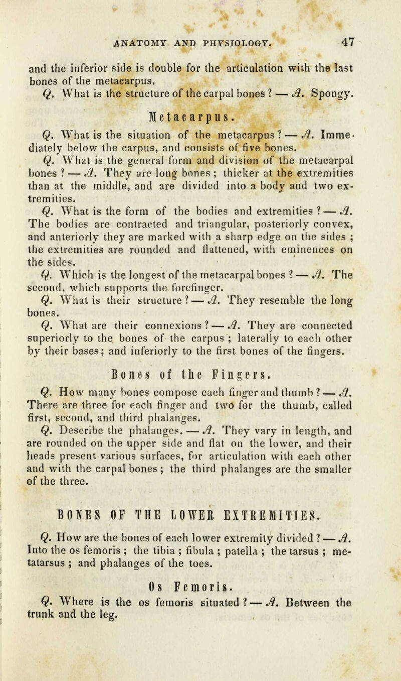 and the inferior side is double for the articulation with the last bones of the metacarpus, Q. What is the structure of the carpal bones ? — A. Spongy. Metacarpus. Q. What is the situation of the metacarpus? — A. Imme- diately below the carpus, and consists of five bones. Q. What is the general form and division of the metacarpal bones ? — A. They are long bones ; thicker at the extremities than at the middle, and are divided into a body and two ex- tremities. Q. What is the form of the bodies and extremities ? — A. The bodies are contracted and triangular, posteriorly convex, and anteriorly they are marked with a sharp edge on the sides ; the extremities are rounded and flattened, with eminences on the sides. Q. Which is the longest of the metacarpal bones ? — A. The second, which supports the forefinger. Q. What is their structure? — A. They resemble the long bones. Q. What are their connexions? — A. They are connected superiorly to the bones of the carpus ; laterally to each other by their bases; and inferiorly to the first bones of the fingers. Bones of the Fingers. Q. How many bones compose each finger and thumb ?—A. There are three for each finger and two for the thumb, called first, second, and third phalanges. Q. Describe the phalanges. — A. They vary in length, and are rounded on the upper side and flat on the lower, and their heads present various surfaces, for articulation with each other and with the carpal bones ; the third phalanges are the smaller of the three. BONES OF THE LOWER EXTREMITIES. Q. How are the bones of each lower extremity divided ? — A. Into the os femoris ; the tibia ; fibula ; patella ; the tarsus ; me- tatarsus ; and phalanges of the toes. Os Femoris. Q. Where is the os femoris situated ? — A. Between the trunk and the leg.