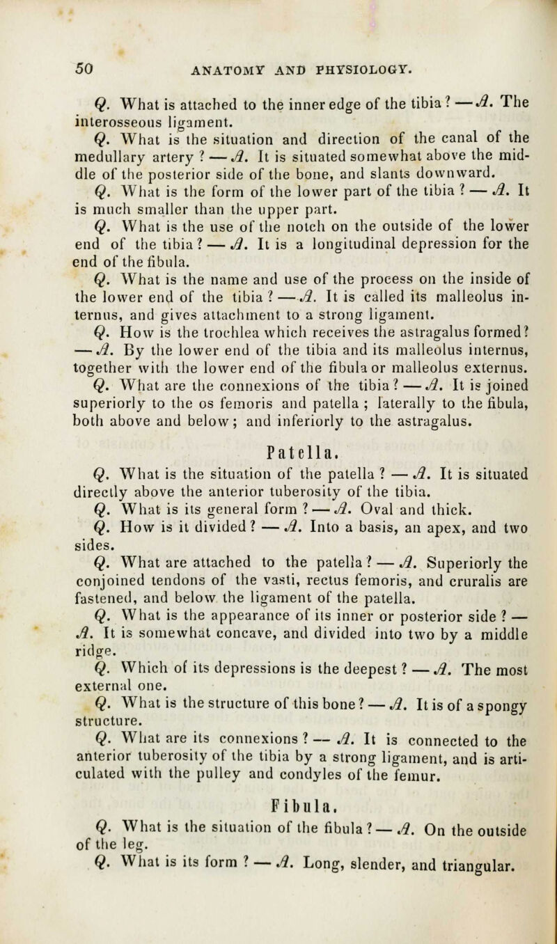 Q. What is attached to the inner edge of the tibia ? —A. The interosseous ligament. Q. What is the situation and direction of the canal of the medullary artery ? — A. It is situated somewhat above the mid- dle of the posterior side of the bone, and slants downward. Q. What is the form of the lower part of the tibia ? — A. It is much smaller than the upper part. Q. What is the use of the notch on the outside of the lower end of the tibia? — A. It is a longitudinal depression for the end of the fibula. Q. What is the name and use of the process on the inside of the lower end of the tibia ? —A. It is called its malleolus in- ternns, and gives attachment to a strong ligament. Q. How is the trochlea which receives the astragalus formed? — JI. By the lower end of the tibia and its malleolus internus, together with the lower end of the fibula or malleolus externus. Q. What are the connexions of the tibia?—JI. It is joined superiorly to the os femoris and patella ; laterally to the fibula, both above and below; and inferiorly to the astragalus. Patella. Q. What is the situation of the patella ? — Ji. It is situated directly above the anterior tuberosity of the tibia. Q. What is its general form ? — Ji. Oval and thick. Q. How is it divided? —Ji. Into a basis, an apex, and two sides. Q. What are attached to the patella? — Ji. Superiorly the conjoined tendons of the vasti, rectus femoris, and cruralis are fastened, and below the ligament of the patella. Q. What is the appearance of its inner or posterior side ? — A. It is somewhat concave, and divided into two by a middle ridge. Q. Which of its depressions is the deepest ? — A. The most external one. Q. What is the structure of this bone ? — A. It is of a spongy structure. Q. What are its connexions ? — A. It is connected to the anterior tuberosity of the tibia by a strong ligament, and is arti- culated with the pulley and condyles of the femur. Fibula. Q. What is the situation of the fibula ? — A. On the outside of the leg. Q. What is its form ? — A. Long, slender, and triangular.