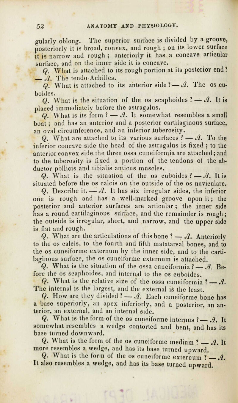gularly oblong. The superior surface is divided by a groove, posteriorly it is broad, convex, and rough ; on its lower surface it is narrow and rough ; anteriorly it has a concave articular surface, and on the inner side it is concave. Q. What is attached to its rough portion at its posterior end ? — A. The tendo Achilles. Q. What is attached to its anterior side?—A. The os cu- boiiles. Q. What is the situation of the os scaphoides ? — A. It is placed immediately before the astragalus. Q. What is its form ? — A. It somewhat resembles a small boat; and has an anterior and a posterior cartilaginous surface, an oval circumference, and an inferior tuberosity. Q. What are attached to its various surfaces ? — A. To the inferior concave side the head of the astragalus is fixed ; to the anterior convex side the three ossa cuneiformia are attached; and to the tuberosity is fixed a portion of the tendons of the ab- ductor pollicis and tibialis anticus muscles. Q. What is the situation of the os cuboides?— A. It is situated before the os calcis on the outside of the os naviculare. Q. Describe it. — A. It has six irregular sides, the inferior one is rough and has a well-marked groove upon it; the posterior and anterior surfaces are articular; the inner side has a round cartilaginous surface, and the remainder is rough; the outside is irregular, short, and narrow, and the upper side is flat and rough. Q. What are the articulations of this bone ? — A. Anteriorly to the os calcis, to the fourth and fifth matatarsal bones, and to the os cuneiforme externum by the inner side, and to the carti- laginous surface, the os cuneiforme externum is attached, Q. What is the situation of the ossa cuneiformia ? — A. Be- fore the os scaphoides, and internal to the os cuboides. Q. What is the relative size of the ossa cuneiformia ? — A. The internal is the largest, and the external is the least. Q. How are they divided ? — A. Each cuneiforme bone has a base superiorly, an apex inferiorly, and a posterior, an an- terior, an external, and an internal side. Q. What is the form of the os cuneiforme interims ? A. It somewhat resembles a wedge contorted and bent, and has its base turned downward. Q. What is the form of the os cuneiforme medium ? A. It more resembles a wedge, and has its base turned upward. Q. What is the form of the os cuneiforme externum ? A. It also resembles a wedge, and has its base turned upward.