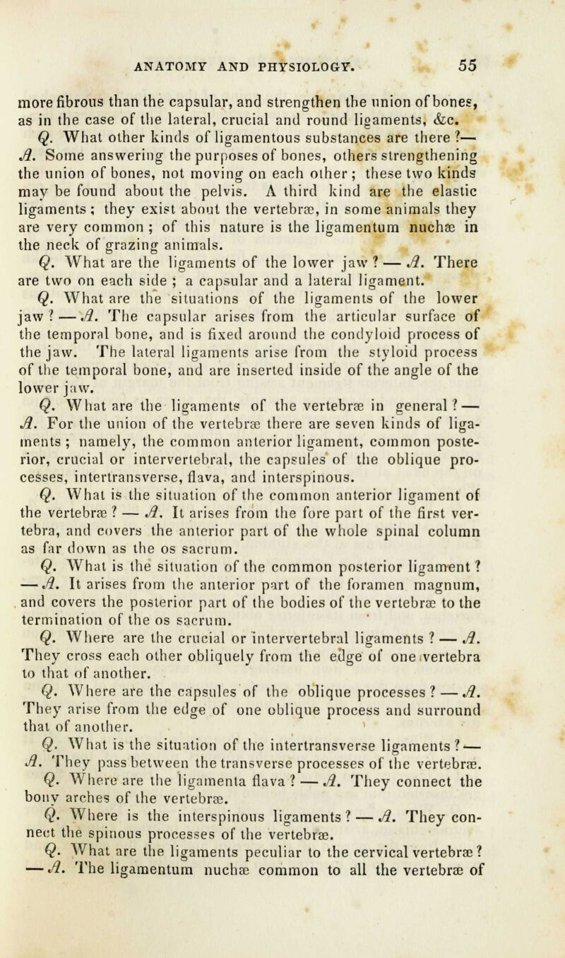 more fibrous than the capsular, and strengthen the union of bones, as in the case of the lateral, crucial and round ligaments, &c. Q. What other kinds of ligamentous substances are there ?— A. Some answering the purposes of bones, others strengthening the union of bones, not moving on each other; these two kinds may be found about the pelvis. A third kind are the elastic ligaments; they exist about the vertebrae, in some animals they are very common ; of this nature is the ligamentum nuchas in the neck of grazing animals. Q. What are the ligaments of the lower jaw ? — A. There are two on each side ; a capsular and a lateral ligament. Q. What are the situations of the ligaments of the lower jaw?—A. The capsular arises from the articular surface of the temporal bone, and is fixed around the condyloid process of the jaw. The lateral ligaments arise from the styloid process of the temporal bone, and are inserted inside of the angle of the lower jaw. Q. What are the ligaments of the vertebras in general? — A. For the union of the vertebras there are seven kinds of liga- ments ; namely, the common anterior ligament, common poste- rior, crucial or intervertebral, the capsules of the oblique pro- cesses, intertransverse, fiava, and interspinous. Q. What is the situation of the common anterior ligament of the vertebras ? — A. It arises from the fore part of the first ver- tebra, and covers the anterior part of the whole spinal column as far down as the os sacrum. Q. What is the situation of the common posterior ligament? — A. It arises from the anterior part of the foramen magnum, and covers the posterior part of the bodies of the vertebras to the termination of the os sacrum. Q. Where are the crucial or intervertebral ligaments ? — A. They cross each other obliquely from the edge of one .vertebra to that of another. Q. Where are the capsules of the oblique processes?—A. They arise from the edge of one oblique process and surround that of another. Q. What is the situation of the intertransverse ligaments? — A. They pass between the transverse processes of the vertebras. Q. Where are the ligamenta fiava ? — A. They connect the bony arches of the vertebras. Q. Where is the interspinous ligaments ? — A. They con- nect the spinous processes of the vertebras. Q. What are the ligaments peculiar to the cervical vertebras ? — A. The ligamentum nuchas common to all the vertebras of
