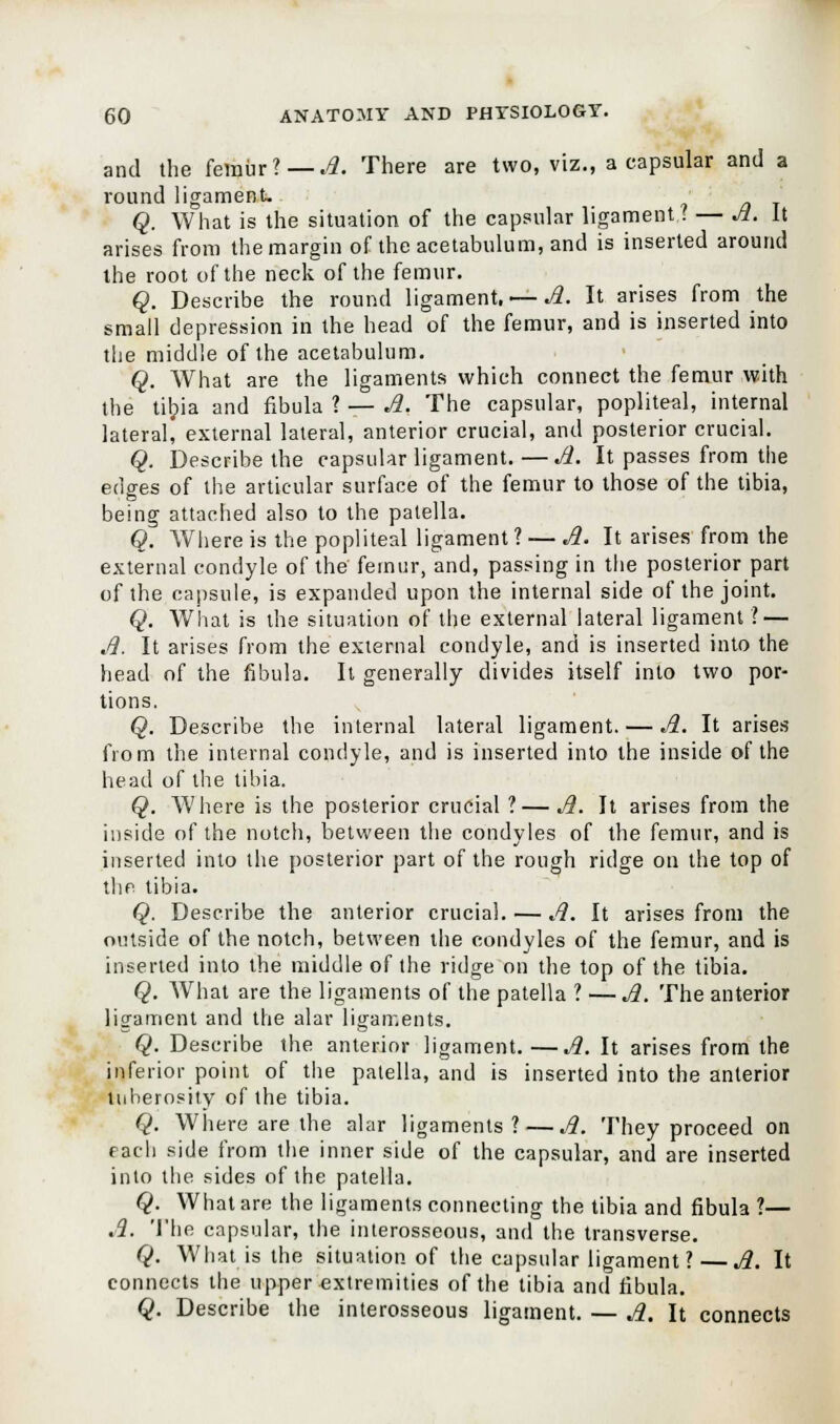 and the femur?— A. There are two, viz., a capsular and a round ligament. Q. What is the situation of the capsular ligament? 6f. It arises from the margin of the acetabulum, and is inserted around the root of the neck of the femur. Q. Describe the round ligament.— A. It arises from the small depression in the head of the femur, and is inserted into the middle of the acetabulum. Q. What are the ligaments which connect the femur with the tibia and fibula ? — A. The capsular, popliteal, internal lateral, external lateral, anterior crucial, and posterior crucial. Q. Describe the capsular ligament.—A. It passes from the edges of the articular surface of the femur to those of the tibia, being attached also to the patella. Q. Where is the popliteal ligament? — A. It arises from the external condyle of the femur, and, passing in the posterior part of the capsule, is expanded upon the internal side of the joint. Q. What is the situation of the external lateral ligament ? — A. It arises from the external condyle, and is inserted into the head of the fibula. It generally divides itself into two por- tions. Q. Describe the internal lateral ligament. — A. It arises from the internal condyle, and is inserted into the inside of the head of the tibia. Q. Where is the posterior crucial ? — A. It arises from the inside of the notch, between the condyles of the femur, and is inserted into the posterior part of the rough ridge on the top of the tibia. Q. Describe the anterior crucial. — A. It arises from the outside of the notch, between the condyles of the femur, and is inserted into the middle of the ridge on the top of the tibia. Q. What are the ligaments of the patella ? —A. The anterior ligament and the alar ligaments. Q. Describe the anterior ligament.—A. It arises from the inferior point of the patella, and is inserted into the anterior tuberosity of the tibia. Q. Where are the alar ligaments? — A. They proceed on each side from the inner side of the capsular, and are inserted into the sides of the patella. Q. What are the ligaments connecting the tibia and fibula ?— A. The capsular, the interosseous, and the transverse. Q. What is the situation of the capsular ligament? — A. It connects the upper extremities of the tibia and fibula. Q. Describe the interosseous ligament. — A. It connects