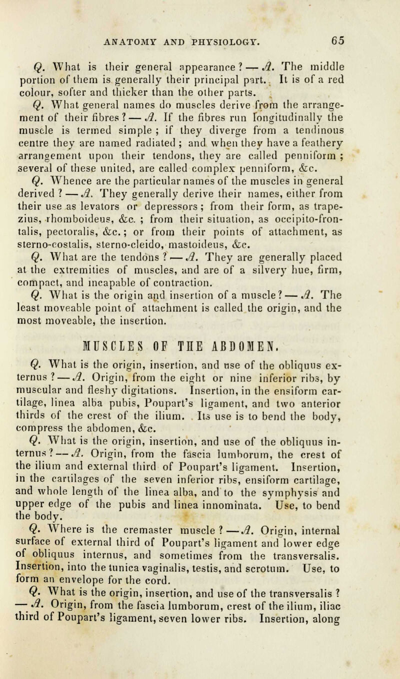 Q. What is their general appearance? — A. The middle portion of them is generally their principal part. It is of a red colour, softer and thicker than the other parts. Q. What general names do muscles derive from the arrange- ment of their fibres? — A. If the fibres run longitudinally the muscle is termed simple ; if they diverge from a tendinous centre they are named radiated ; and when they have a feathery arrangement upon their tendons, they are called penniform ; several of these united, are called complex penniform, &c. Q. Whence are the particular names of the muscles in general derived ? — A. They generally derive their names, either from their use as levators or depressors; from their form, as trape- zius, rhomboideus, &c. ; from their situation, as occipito-fron- talis, pectoralis, &c.; or from their points of attachment, as sterno-coslalis, sterno-cleido, mastoideus, &c. Q. What are the tendons ? — A. They are generally placed at the extremities of muscles, and are of a silver}' hue, firm, compact, and incapable of contraction. Q. What is the origin and insertion of a muscle? — A. The least moveable point of attachment is called the origin, and the most moveable, the insertion. MUSCLES OF TIIE ABDOMEN. Q. What is the origin, insertion, and use of the obliquus ex- ternus ? — A. Origin, from the eight or nine inferior ribs, by muscular and fleshy digitations. Insertion, in the ensiform car- tilage, linea alba pubis, Poupart's ligament, and two anterior thirds of the crest of the ilium. . Its use is to bend the body, compress the abdomen, &c. Q. What is the origin, insertion, and use of the obliquus in- ternus? — A. Origin, from the fascia iumhorum, the crest of the ilium and external third of Poupart's ligament. Insertion, in the cartilages of the seven inferior ribs, ensiform cartilage, and whole length of the linea alba, and to the symphysis and upper edge of the pubis and linea innominata. Use, to bend the body. Q. Where is the cremaster muscle?—A. Origin, internal surface of external third of Poupart's ligament and lower edge of obliquus internus, and sometimes from the transversalis. Insertion, into the tunica vaginalis, testis, and scrotum. Use, to form an envelope for the cord. Q. What is the origin, insertion, and use of the transversalis ? —■ A. Origin, from the fascia lumborum, crest of the ilium, iliac third of Poupart's ligament, seven lower ribs. Insertion, along