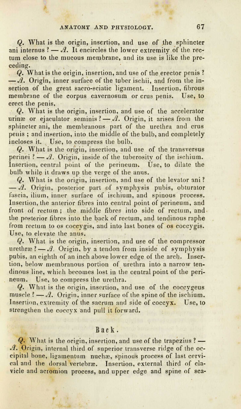 Q. What is the origin, insertion, and use of the sphincter ani internus ? — Ji. It encircles the lower extremity of the rec- tum close to the mucous membrane, and its use is like the pre- ceding. Q. What is the origin, insertion, and use of the erector penis ? — Ji. Origin, inner surface of the tuber ischii, and from the in- sertion of the great sacro-sciatic ligament. Insertion, fibrous membrane of the corpus cavernosum or crus penis. Use, to erect the penis. Q. What is the origin, insertion, and use of the accelerator urinae or ejaculator seminis? — Ji. Origin, it arises from the sphincter ani, the membranous part of the urethra and crus penis ; and insertion, into the middle of the bulb, and completely incloses it. Use, to compress the bulb. Q. What is the origin, insertion, and use of the transversus perinei ? — Ji. Origin, inside of the tuberosity of the ischium. Insertion, central point of the perineum. Use, to dilate the bulb while it draws up the verge of the anus. Q. What is the origin, insertion, and use of the levator ani ? — Ji. Origin, posterior part of symphysis pubis, obturator fascia, ilium, inner surface of ischium, and spinous process. Insertion, the anterior fibres into central point of perineum, and front of rectum ; the middle fibres into side of rectum, and the posterior fibres into the back of rectum, and tendinous raphe from rectum to os coccygis, and into last bones of os coccygis. Use, to elevate the anus. Q. What is the origin, insertion, and use of the compressor urethras? — Ji. Origin, by a tendon from inside of symphysis pubis, an eighth of an inch above lower edge of the arch. Inser- tion, below membranous portion of urethra into a narrow ten- dinous line, which becomes lost in the central point of the peri- neum. Use, to compress the urethra. Q. What is the origin, insertion, and use of the coccygeus muscle ? — Ji. Origin, inner surface of the spine of the ischium. Insertion, extremity of the sacrum and side of coccyx. Use, to strengthen the coccyx and pull it forward. Back. Q. What is the origin, insertion, and use of the trapezius ? — Ji. Origin, internal third of superior transverse ridge of the oc- cipital bone, ligamentum nuchae, spinous process of last cervi- cal and the dorsal vertebrae. Insertion, external third of cla- vicle and acromion process, and upper edge and spine of sea-