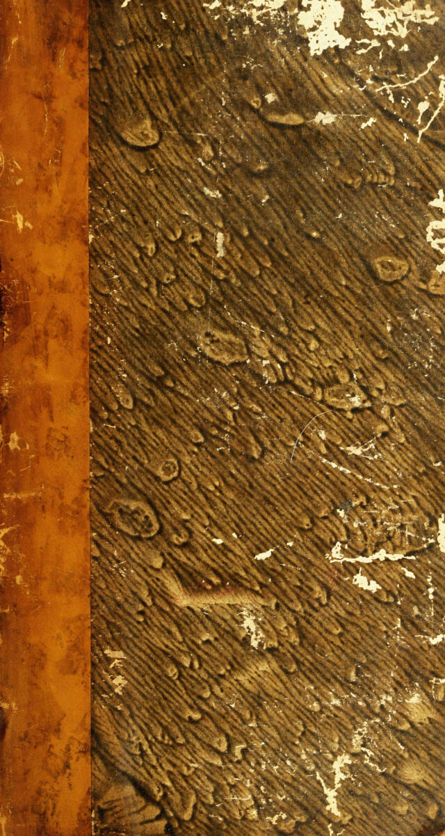 No text description is available for this image