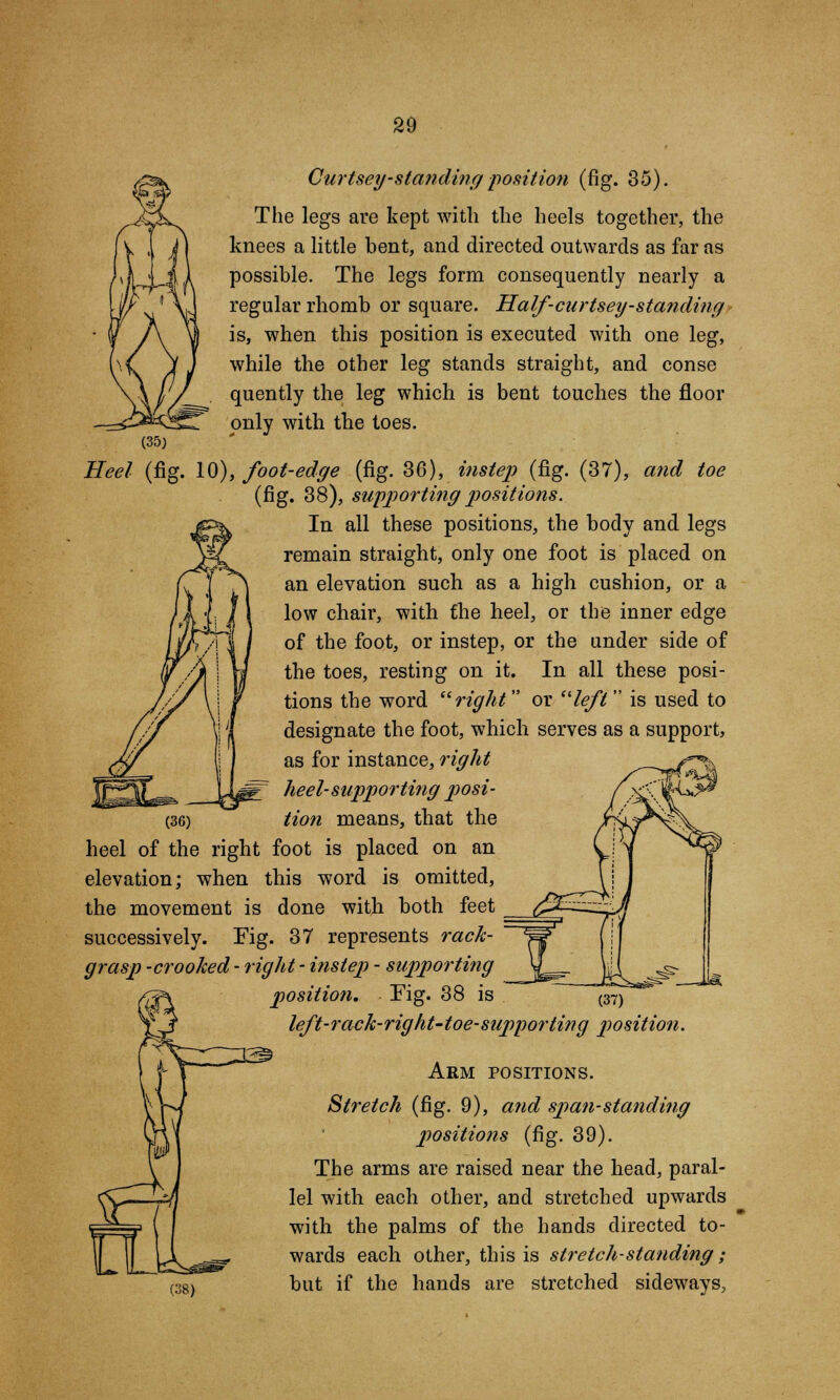 Curtsey'-standing position (fig. 35). The legs are kept with the heels together, the knees a little bent, and directed outwards as far as possible. The legs form consequently nearly a regular rhomb or square. Half-curtsey-standing is, when this position is executed with one leg, while the other leg stands straight, and conse quently the leg which is bent touches the floor only with the toes. Heel (fig. 10), foot-edge (fig. 36), instep (fig. (37), and toe (fig. 38), supporting positions. In all these positions, the body and legs remain straight, only one foot is placed on an elevation such as a high cushion, or a low chair, with the heel, or the inner edge of the foot, or instep, or the under side of the toes, resting on it. In all these posi- tions the word right or left  is used to designate the foot, which serves as a support, as for instance, right heel-supporting posi- tion means, that the heel of the right foot is placed on an elevation; when this word is omitted, the movement is done with both feet successively. Fig. 37 represents rack- grasp -crooked - right - instep - supporting position. Tig. 38 is left-rack-right-toe-supporting position. Arm positions. Stretch (fig. 9), and span-standing positions (fig. 39). The arms are raised near the head, paral- lel with each other, and stretched upwards with the palms of the hands directed to- wards each other, this is stretch-standing; but if the hands are stretched sideways,