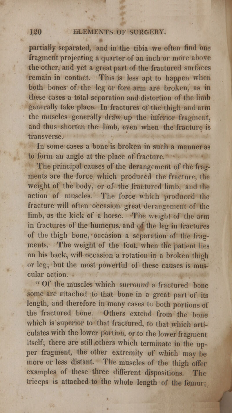 partially separated, and in the tibia we often find one fragment projecting a quarter of an inch or more above the other, and yet a great part of the fractured surfaces remain in contact. This is less apt to happen when both bones of the leg or fore arm are broken, as in these cases a total separation and distortion of the limb generally take place. In fractures of the thigh ami arm the muscles generally dra\v up the inferior fragment, and thus shorten the limb, even when the fracture is transverse. In some cases a bone is broken in such a manner as to form an angle at the place of fracture. The principal causes of the derangement of the frag - ments are the force which produced the fracture, the weight of the body, or of the fractured limb, and (he action of muscles. The force which produced (he fracture will often occasion great derangement of the limb, as the kick of a horse. The weight of the arm in fractures of the humerus, and of the leg in fractures of the thigh bone, occasion a separation of the frag- ments. The weight of the foot, when the patient lies on his back, will occasion a rotation in a broken thigh or leg; but the most powerful of these causes is mus- cular action.  Of the muscles which surround a fractured bone some are attached to that bone in a great part of its length, and therefore in many cases tc both portions of the fractured bone. Others extend from the bone which is superior to that fractured, to that which arti- culates with the lower portion, or to the lower fragment itself; there are still .others which terminate in the up- per fragment, the other extremity of which may be more or less distant. The muscles of the thigh offer examples of these three different dispositions. The triceps is attached to the whole length of the femur: