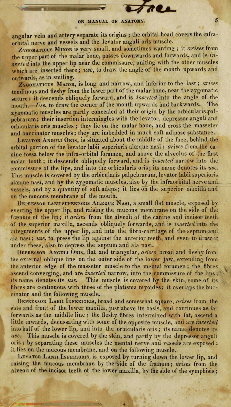 «^7f«A- OR MANUAL OF ANATOMY. 5 angular vein and artery separate its origins ; the orbital head covers the infra- orbital nerve and vessels and the levator anguli oris muscle. Zygomaticus Minor is very small, and sometimes wanting ; it arises from the upper part of the malar bone, passes downwards and forwards, and is in- serted'mto the upper lip near the commissure, uniting with the other muscles which are inserted there; use, to draw the angle of the mouth upwards and outwards, as in smiling. Zygomaticus Major, is long and narrow, and inferior to the last; arises tendinous and fleshy from the lower part of the malar bone, near the zygomatic suture : it descends obliquely forward, and is inserted into the angle of the mouth.—Use, to draw the corner of the mouth upwards and backwards. The zygomatic muscles are partly concealed at their origin by the orbicularis,pal- pebrarum; their insertion intermingles with the levator, depressor anguli and orbicularis oris muscles ; they lie on the malar bone, and cross the masseter and buccinator muscles ; they are imbedded in much soft adipose substance. Levator Anguli Oris, is situated about the middle of the face, behind the orbital portion of the levator labii superioris alasque nasi; arises from the ca- nine fossa below the infra-orbital foramen, and above the alveolus of the first molar tooth; it descends obliquely forward, and is inserted narrow into the commissure of the lips, and into the orbicularis oris; its name denotes its use. This muscle is covered by the orbicularis palpebrarum, levator labii superioris alaeque nasi, and by the zygomatic muscles, also by the infraorbital nerve and vessels, and by a quantity of soft adeps; it lies on the superior maxilla and on the mucous membrane of the mouth. Depressor labii superioris Alaeque Nasi, a small flat muscle, exposed by everting the upper lip, and raising the mucous membrane, on the side of the fraenum of the lip; it arises from the alveoli of the canine and incisor teeth of the superior maxilla, ascends obliquely forwards, and is inserted into the integuments of the upper lip, and into the fibro-cartilage of the septum and ala nasi; use, to press the lip against the anterior teeth, and even to draw it under these, also to depress the septum and ala nasi. Depressor Anguli Oris, flat and triangular, arises broad and fleshy from the external oblique line on the outer side of the lower jaw, extending from the anterior edge of the masseter muscle to the mental foramen; the fibres ascend converging, and are inserted narrow, into the commissure of the lips; its name denotes its use. This muscle is covered by the skin, some of its fibres are continuous with those of the platisma myoides; it overlaps the buc- cinator and the following muscle. Depressor Labii Inferioris, broad and somewhat square, arises from the side and front of the lower maxilla, just above its basis, and continues as fat- forwards as the middle, line ; the fleshy fibres intermixed with fat, ascend a little inwards, decussating with some of the opposite muscle, and are inserted into half of the lower lip, and into the orbicularis oris ; its name denotes its use. This muscle is covered by the skin, and partly by the depressor anguli oris ; by separating these muscles the mental nerve and vessels are exposed : it lies on the mucous membrane, and on the following muscle. Levator Lanii Inferioris, is exposed by turning down the lower lip, and raising the mucous membrane by the side of the fraenum; arises from the alveoli of the incisor teeth of the lower maxilla, by the side of the symphisis; • rjJllJrBj8WagPP^g}