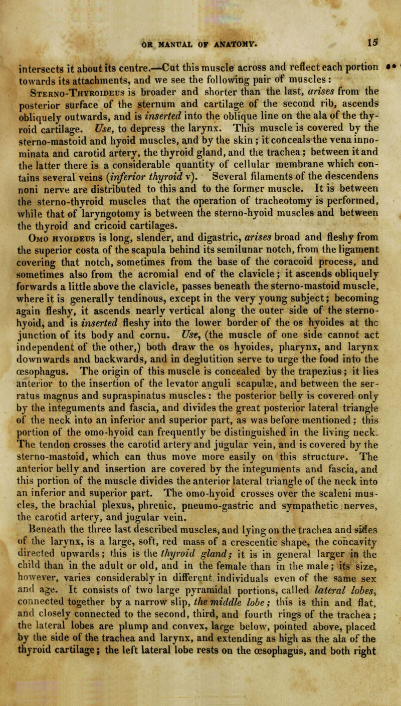 intersects it about its centre.—Cut this muscle across and reflect each portion towards its attachments, and we see the following pair of muscles : Sterno-Thyroideus is broader and shorter than the last, arises from the posterior surface of the sternum and cartilage of the second rib, ascends obliquely outwards, and is inserted into the oblique line on the ala of the thy- roid cartilage. Use, to depress the larynx. This muscle is covered by the sterno-mastoid and hyoid muscles, and by the skin; it conceals the vena inno- minata and carotid artery, the thyroid gland, and the trachea; between it and the latter there is a considerable quantity of cellular membrane which con- tains several veins (inferior thyroid v). Several filaments of the descendens noni nerve are distributed to this and to the former muscle. It is between the sterno-thyroid muscles that the operation of tracheotomy is performed, while that of laryngotomy is between the sterno-hyoid muscles and between the thyroid and cricoid cartilages. Omo hyoideus is long, slender, and digastric, arises broad and fleshy from the superior costa of the scapula behind its semilunar notch, from the ligament covering that notch, sometimes from the base of the coracoid process, and sometimes also from the acromial end of the clavicle; it ascends obliquely forwards a little above the clavicle, passes beneath the sterno-mastoid muscle, where it is generally tendinous, except in the very young subject; becoming again fleshy, it ascends nearly vertical along the outer side of the sterno- hyoid, and is inserted fleshy into the lower border of the os hyoides at the junction of its body and cornu. Use, (the muscle of one side cannot act independent of the other,) both draw the os hyoides, pharynx, and larynx downwards and backwards, and in deglutition serve to urge the food into the oesophagus. The origin of this muscle is concealed by the trapezius; it lies anterior to the insertion of the levator anguli scapulae, and between the ser- ratus magnus and supraspinatus muscles : the posterior belly is covered only by the integuments and fascia, and divides the great posterior lateral triangle of the neck into an inferior and superior part, as was before mentioned; this portion of the omo-hyoid can frequently be distinguished in the living neck„ The tendon crosses the carotid artery and jugular vein, and is covered by the sterno-mastoid, which can thus move more easily on this structure. The anterior belly and insertion are covered by the integuments and fascia, and this portion of the muscle divides the anterior lateral triangle of the neck into an inferior and superior part. The omo-hyoid crosses over the scaleni mus- cles, the brachial plexus, phrenic, pneumo-gastric and sympathetic nerves, the carotid artery, and jugular vein. Beneath the three last described muscles, and lying on the trachea and sides of the larynx, is a large, soft, red mass of a crescentic shape, the concavity directed upwards; this is the thyroid gland; it is in general larger in the child than in the adult or old, and in the female than in the male; its size, however, varies considerably in different individuals even of the same sex and age. It consists of two large pyramidal portions, called lateral lobes, connected together by a narrow slip, the middle lobe; this is thin and flat, and closely connected to the second, third, and fourth rings of the trachea; the lateral lobes are plump and convex, large below, pointed above, placed by the side of the trachea and larynx, and extending as high as the ala of the thyroid cartilage; the left lateral lobe rests on the oesophagus, and both right