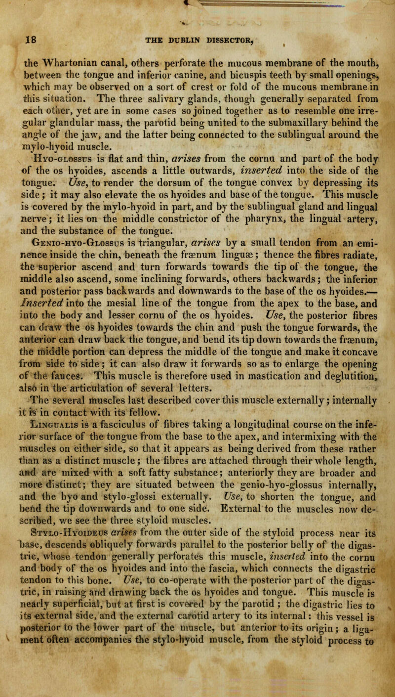 the Whartonian canal, others perforate the mucous membrane of the mouth, between the tongue and inferior canine, and bicuspis teeth by small openings, which may be observed on a sort of crest or fold of the mucous membrane in this situation. The three salivary glands, though generally separated from each other, yet are in some cases so joined together as to resemble one irre- gular glandular mass, the parotid being united to the submaxillary behind the angle of the jaw, and the latter being connected to the sublingual around the mylo-hyoid muscle. Hyo-glossus is flat and thin, arises from the cornu and part of the body of the os hyoides, ascends a little outwards, inserted into the side of the tongue. Use, to render the dorsum of the tongue convex by depressing its side; it may also elevate the os hyoides and base of the tongue. This muscle is covered by the mylo-hyoid in part, and by the sublingual gland and lingual nerve; it lies on the middle constrictor of the pharynx, the lingual artery, and the substance of the tongue. Genio-hyo-Glossus is triangular, arises by a small tendon from an emi- nence inside the chin, beneath the fraenum linguas; thence the fibres radiate, the superior ascend and turn forwards towards the tip of the tongue, the middle also ascend, some inclining forwards, others backwards; the inferior and posterior pass backwards and downwards to the base of the os hyoides.— Inserted into the mesial line of the tongue from the apex to the base, and into the body and lesser cornu of the os hyoides. Use, the posterior fibres can draw the os hyoides towards the chin and push the tongue forwards, the anterior can draw back the tongue, and bend its tip down towards the fraenum, the middle portion can depress the middle of the tongue and make it concave from side to side; it can also draw it forwards so as to enlarge the opening of the fauces. This muscle is therefore used in mastication and deglutition, also in the articulation of several letters. The several muscles last described cover this muscle externally; internally it is in contact with its fellow. Lingualis is a fasciculus of fibres taking a longitudinal course on the infe- rior surface of the tongue from the base to the apex, and intermixing with the muscles on either side, so that it appears as being derived from these rather than as a distinct muscle; the fibres are attached through their whole length, and are mixed with a soft fatty substance; anteriorly they are broader and more distinct; they are situated between the genio-hyo-glossus internally, and the hyo and stylo-glossi externally. Use, to shorten the tongue, and bend the tip downwards and to one side. External to the muscles now de- scribed, we see. the three styloid muscles. Stylo-Hyoideus arises from the outer side of the styloid process near its base, descends obliquely forwards parallel to the posterior belly of the digas- tric, whose tendon generally perforates this muscle, inserted into the cornu and body of the os hyoides and into the fascia, which connects the digastric tendon to this bone. Use, to co-operate with the posterior part of the digas- tric, in raising and drawing back the os hyoides and tongue. This muscle is nearly superficial, but at first is covered by the parotid ; the digastric lies to its -external side, and the external carotid artery to its internal: this vessel is posterior to the lower part of the muscle, but anterior to its origin; a liga- ment often accompanies the stylo-hyoid muscle, from the styloid process to