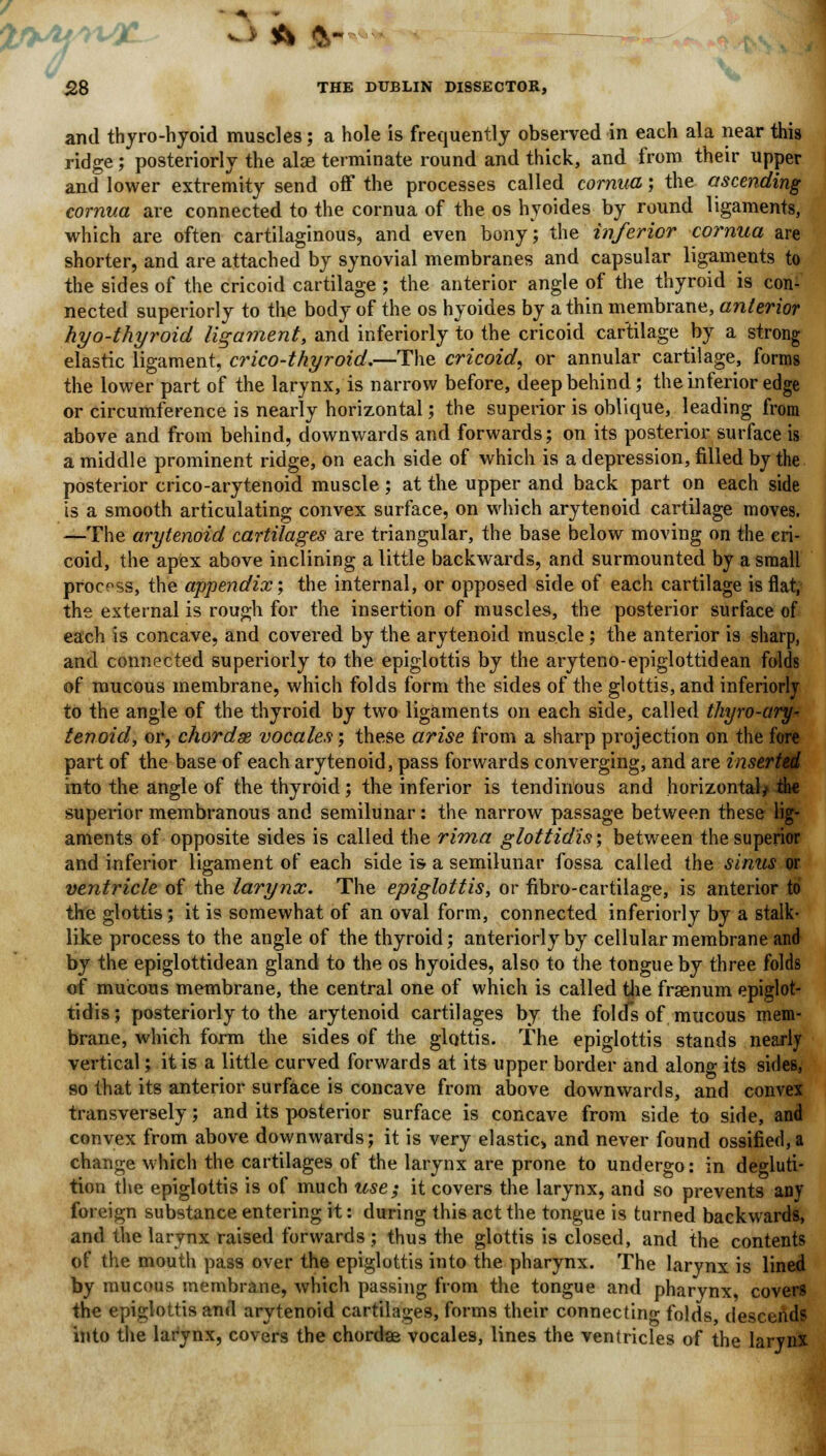 and thyro-hyoid muscles; a hole is frequently observed in each ala near this ridge; posteriorly the alae terminate round and thick, and from their upper and lower extremity send off the processes called cornua; the ascending cornua are connected to the cornua of the os hyoides by round ligaments, which are often cartilaginous, and even bony; the inferior cornua are shorter, and are attached by synovial membranes and capsular ligaments to the sides of the cricoid cartilage ; the anterior angle of the thyroid is con- nected superiorly to the body of the os hyoides by a thin membrane, anterior hyo-thyroid ligament, and inferiorly -to the cricoid cartilage by a strong elastic ligament, cricothyroid.—The cricoid, or annular cartilage, forms the lower part of the larynx, is narrow before, deep behind; the inferior edge or circumference is nearly horizontal; the superior is oblique, leading from above and from behind, downwards and forwards; on its posterior surface is a middle prominent ridge, on each side of which is a depression, filled by the posterior crico-arytenoid muscle; at the upper and back part on each side is a smooth articulating convex surface, on which arytenoid cartilage moves. —The arytenoid cartilages are triangular, the base below moving on the cri- coid, the apex above inclining a little backwards, and surmounted by a small process, the appendix-, the internal, or opposed side of each cartilage is flat, the external is rough for the insertion of muscles, the posterior surface of each is concave, and covered by the arytenoid muscle; the anterior is sharp, and connected superiorly to the epiglottis by the aryteno-epiglottidean folds of mucous membrane, which folds form the sides of the glottis, and inferiorly to the angle of the thyroid by two ligaments on each side, called thyro-ary- tenoid, or, chordse vocales; these arise from a sharp projection on the fore part of the base of each arytenoid, pass forwards converging, and are inserted into the angle of the thyroid ; the inferior is tendinous and horizontal* tfa« superior membranous and semilunar: the narrow passage between these lig- aments of opposite sides is called the rima glottidis; between the superior and inferior ligament of each side is- a semilunar fossa called the sinus or ventricle of the larynx. The epiglottis, or fibro-cartilage, is anterior to the glottis; it is somewhat of an oval form, connected inferiorly by a stalk- like process to the angle of the thyroid; anteriorly by cellular membrane and by the epiglottidean gland to the os hyoides, also to the tongue by three folds of mucous membrane, the central one of which is called the fraenum epiglot- tidis; posteriorly to the arytenoid cartilages by the folds of mucous mem- brane, which form the sides of the glottis. The epiglottis stands nearly vertical; it is a little curved forwards at its upper border and along its sides, so that its anterior surface is concave from above downwards, and convex transversely; and its posterior surface is concave from side to side, and convex from above downwards; it is very elastic and never found ossified,a change which the cartilages of the larynx are prone to undergo: in degluti- tion the epiglottis is of much use; it covers the larynx, and so prevents any foreign substance entering it: during this act the tongue is turned backwards, and the larynx raised forwards; thus the glottis is closed, and the contents of the mouth pass over the epiglottis into the pharynx. The larynx is lined by mucous membrane, which passing from the tongue and pharynx, covers the epiglottis and arytenoid cartilages, forms their connecting folds, descends into the larynx, covers the chordae vocales, lines the ventricles of the larynx