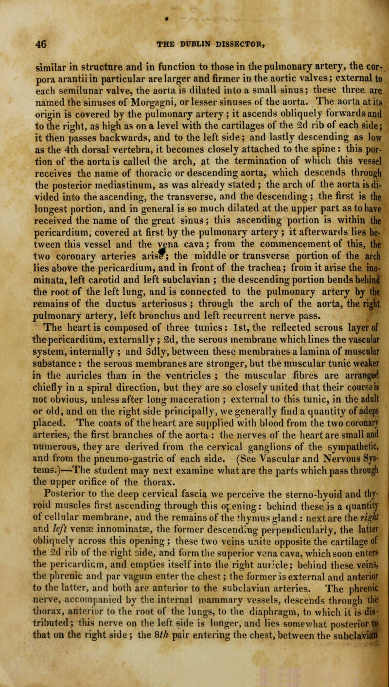 similar in structure and in function to those in the pulmonary artery, the cor- pora arantiiin particular are larger and firmer in the aortic valves; external to each semilunar valve, the aorta is dilated into a small sinus; these three are named the sinuses of Morgagni, or lesser sinuses of the aorta. The aorta at its origin is covered by the pulmonary artery; it ascends obliquely forwards and to the right, as high as on a level with the cartilages of the 2d rib of each side; it then passes backwards, and to the left side; and lastly descending as low as the 4th dorsal vertebra, it becomes closely attached to the spine: this por- tion of the aorta is called the arch, at the termination of which this vessel receives the name of thoracic or descending aorta, which descends through the posterior mediastinum, as was already stated; the arch of the aorta is di- vided into the ascending, the transverse, and the descending ; the first is the longest portion, and in general is so much dilated at the upper part as to have received the name of the great sinus; this ascending portion is within the pericardium, covered at first by the pulmonary artery ; it afterwards lies be- tween this vessel and the vena cava; from the commencement of this, the two coronary arteries arise; the middle or transverse portion of the arch lies above the pericardium, and in front of the trachea; from it arise the ino- minata, left carotid and left subclavian ; the descending portion bends behind the root of the left lung, and is connected to the pulmonary artery by the remains of the ductus arteriosus ; through the arch of the aorta, the right pulmonary artery, left bronchus and left recurrent nerve pass. The heart is composed of three tunics: 1st, the reflected serous layer of the pericardium, externally; 2d, the serous membrane which lines the vascular system, internally ; and Sdly, between these membranes a lamina of muscular substance : the serous membranes are stronger, but the muscular tunic weaker in the auricles than in the ventricles ; the muscular fibres are arranged chiefly in a spiral direction, but they are so closely united that their course is not obvious, unless after long maceration ; external to this tunic, in the adult or old, and on the right side principally, we generally find a quantity of adeps placed. The coats of the heart are supplied with blood from the two coronary arteries, the first branches of the aorta : the nerves of the heart are small and numerous, they are derived from the cervical ganglions of the sympathetic, and from the pneumo-gastric of each side. (See Vascular and Nervous Sys- tems.)—The student may next examine what are the parts which pass through the upper orifice of the thorax. Posterior to the deep cervical fascia we perceive the sterno-hyoid and thy- roid muscles first ascending through this opening: behind these is a quantity of cellular membrane, and the remains of the thymus gland : next are the right and left vense innominatse, the former descending perpendicularly, the latter obliquely across this opening ; these two veins unite opposite the cartilage of the 2d rib of the right side, and form the superior vena cava, which soon enters the pericardium, and empties itself into the right auricle; behind these veins, the phrenic and par vagum enter the chest; the former is external and anterior to the latter, and both are anterior to the subclavian arteries. The phrenic nerve, accompanied by the internal mammary vessels, descends through the thorax, anterior to the root of the lungs, to the diaphragm, to which it is dis- tributed; this nerve on the left side is longer, and lies somewhat posterior to that on the right side; the 8th pair entering the chest, between the subclavian
