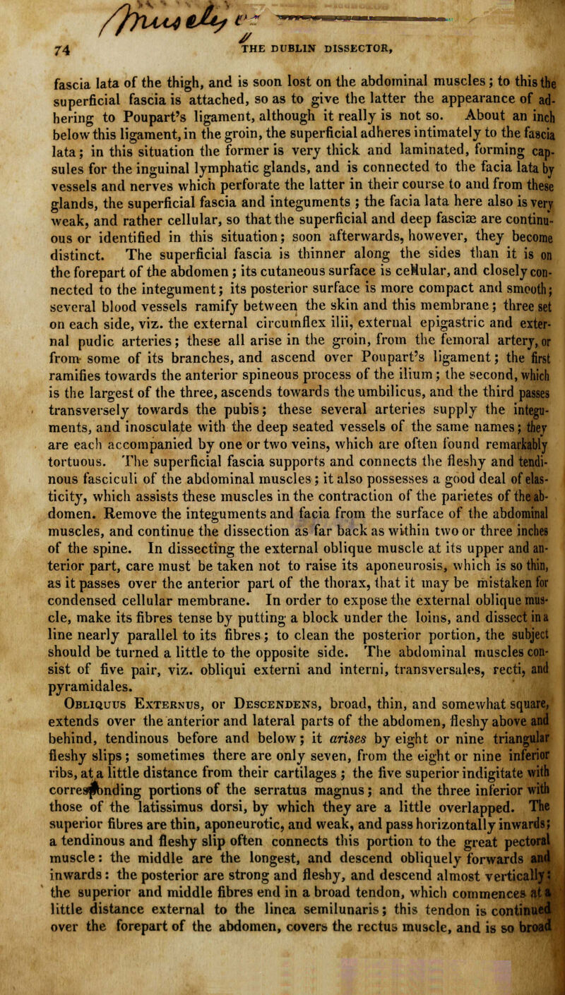 /ftUAjtMfV 74 THE DUBLIN DISSECTOR, fascia lata of the thigh, and is soon lost on the abdominal muscles; to this the superficial fascia is attached, so as to give the latter the appearance of ad- hering to Poupart's ligament, although it really is not so. About an inch below this ligament, in the groin, the superficial adheres intimately to the fascia lata; in this situation the former is very thick and laminated, forming cap- sules for the inguinal lymphatic glands, and is connected to the facia lata by vessels and nerves which perforate the latter in their course to and from these glands, the superficial fascia and integuments ; the facia lata here also is very weak, and rather cellular, so that the superficial and deep fasciae are continu- ous or identified in this situation; soon afterwards, however, they become distinct. The superficial fascia is thinner along the sides than it is on the forepart of the abdomen ; its cutaneous surface is ceHular, and closely con- nected to the integument; its posterior surface is more compact and smooth; several blood vessels ramify between the skin and this membrane; three set on each side, viz. the external circumflex ilii, external epigastric and exter- nal pudic arteries; these all arise in the groin, from the femoral artery,or from some of its branches, and ascend over Poupart's ligament; the first ramifies towards the anterior spineous process of the ilium; the second, which is the largest of the three, ascends towards the umbilicus, and the third passes transversely towards the pubis; these several arteries supply the integu- ments, and inosculate with the deep seated vessels of the same names; they are each accompanied by one or two veins, which are often found remarkably tortuous. The superficial fascia supports and connects the fleshy and tendi- nous fasciculi of the abdominal muscles; it also possesses a good deal of elas- ticity, which assists these muscles in the contraction of the parietes of the ab- domen. Remove the integuments and facia from the surface of the abdominal muscles, and continue the dissection as far back as within two or three inches of the spine. In dissecting the external oblique muscle at its upper and an- terior part, care must be taken not to raise its aponeurosis, which is so thin, as it passes over the anterior part of the thorax, that it may be mistaken for condensed cellular membrane. In order to expose the external oblique mus- cle, make its fibres tense by putting a block under the loins, and dissect in a line nearly parallel to its fibres; to clean the posterior portion, the subject should be turned a little to the opposite side. The abdominal muscles con- sist of five pair, viz. obliqui externi and interni, transversales, recti, and pyramidales. Obliquus Externus, or Descendens, broad, thin, and somewhat square, extends over the anterior and lateral parts of the abdomen, fleshy above and behind, tendinous before and below; it arises by eight or nine triangular fleshy slips; sometimes there are only seven, from the eight or nine inferior ribs, at a little distance from their cartilages ; the five superior indigitate with correspbnding portions of the serratu3 magnus; and the three inferior with those of the latissimus dorsi, by which they are a little overlapped. The superior fibres are thin, aponeurotic, and weak, and pass horizontally inwards; a tendinous and fleshy slip often connects this portion to the great pectoral muscle: the middle are the longest, and descend obliquely forwards and inwards: the posterior are strong and fleshy, and descend almost vertically! the superior and middle fibres end in a broad tendon, which commences at a little distance external to the linea semilunaris; this tendon is continued over the forepart of the abdomen, covers* the rectus* muscle, and is so broad