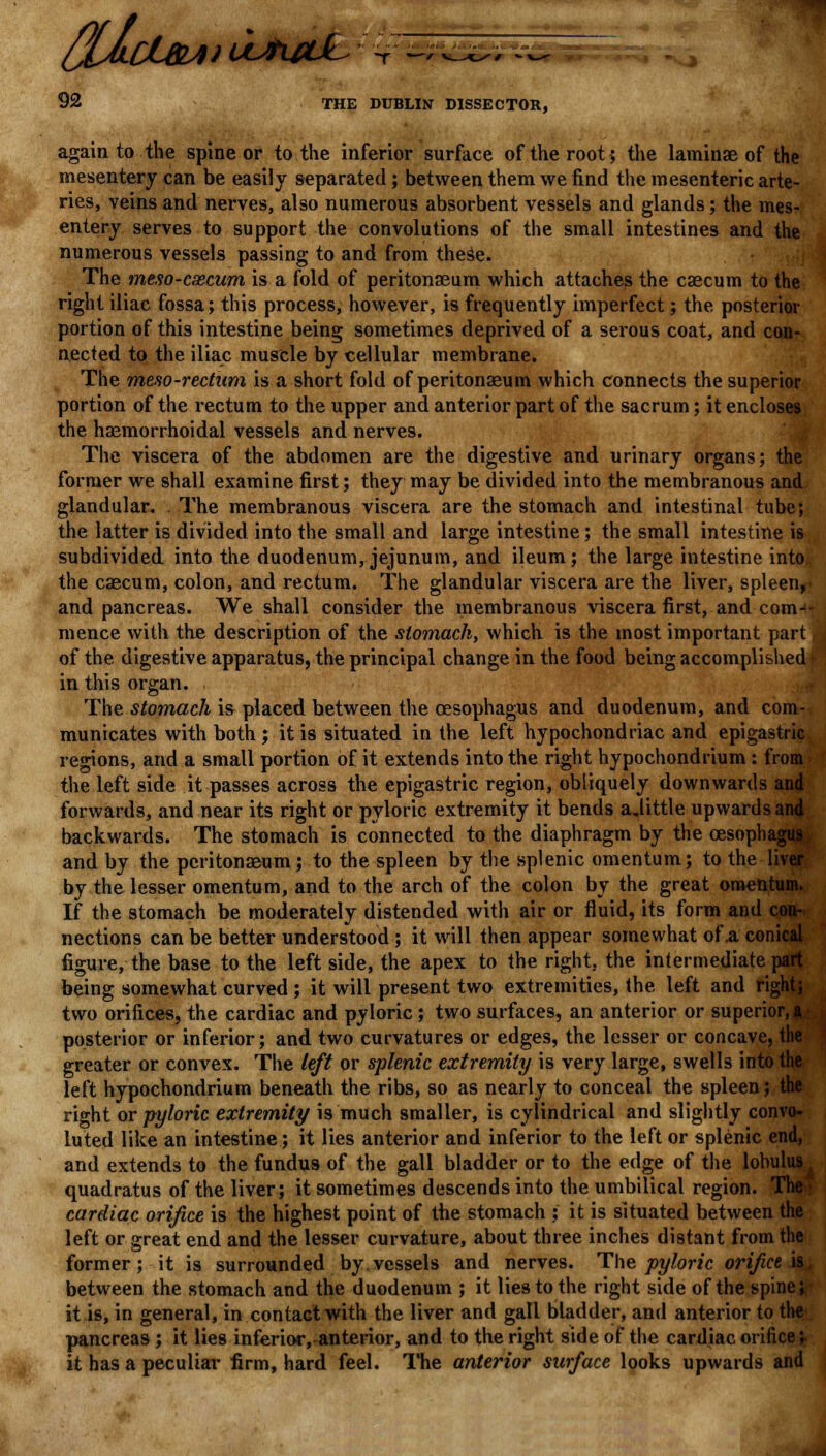 again to the spine or to the inferior surface of the root; the laminae of the mesentery can be easily separated; between them we find the mesenteric arte- ries, veins and nerves, also numerous absorbent vessels and glands; the mes- entery serves to support the convolutions of the small intestines and the numerous vessels passing to and from these. The meso-cxcum is a fold of peritonaeum which attaches the caecum to the right iliac fossa; this process, however, is frequently imperfect; the posterior portion of this intestine being sometimes deprived of a serous coat, and con- nected to the iliac muscle by cellular membrane. The meso-rectum is a short fold of peritonaeum which connects the superior portion of the rectum to the upper and anterior part of the sacrum; it encloses the haemorrhoidal vessels and nerves. The viscera of the abdomen are the digestive and urinary organs; the former we shall examine first; they may be divided into the membranous and glandular. The membranous viscera are the stomach and intestinal tube; the latter is divided into the small and large intestine; the small intestine is subdivided into the duodenum, jejunum, and ileum; the large intestine into;, the caecum, colon, and rectum. The glandular viscera are the liver, spleen,- and pancreas. We shall consider the membranous viscera first, and comJ< mence with the description of the stomachy which is the most important part of the digestive apparatus, the principal change in the food being accomplished in this organ. , The stomach is placed between the oesophagus and duodenum, and com- municates with both; it is situated in the left hypochondriac and epigastric regions, and a small portion of it extends into the right hypochondrium: from the left side it passes across the epigastric region, obliquely downwards and forwards, and near its right or pyloric extremity it bends a.little upwards ami backwards. The stomach is connected to the diaphragm by the oesophagus and by the peritonaeum; to the spleen by the splenic omentum; to the liver by the lesser omentum, and to the arch of the colon by the great omentum. If the stomach be moderately distended with air or fluid, its form and con- nections can be better understood ; it will then appear somewhat of .a conical figure, the base to the left side, the apex to the right, the intermediate part being somewhat curved; it will present two extremities, the left and right; two orifices, the cardiac and pyloric ; two surfaces, an anterior or superior, n posterior or inferior; and two curvatures or edges, the lesser or concave, the greater or convex. The left or splenic extremity is very large, swells into the left hypochondrium beneath the ribs, so as nearly to conceal the spleen; the right or pyloric extremity is much smaller, is cylindrical and slightly convo- luted like an intestine; it lies anterior and inferior to the left or splenic end, and extends to the fundus of the gall bladder or to the edge of the lobulus^ quadratus of the liver; it sometimes descends into the umbilical region. The| cardiac orifice is the highest point of the stomach ; it is situated between the left or great end and the lesser curvature, about three inches distant from the former; it is surrounded by vessels and nerves. The pyloric orifice is, between the stomach and the duodenum ; it lies to the right side of the spine fr it is, in general, in contact with the liver and gall bladder, and anterior to the-, pancreas; it lies inferior, anterior, and to the right side of the cardiac orifice 'r it has a peculiar firm, hard feel. The anterior surface looks upwards and