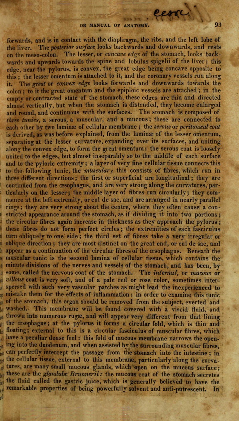 forwards, and is in contact with the diaphragm, the ribs, and the left lobe of the liver. The posterior surface looks backwards and downwards, and rests on the meso-colon. The lesser, or concave edge of the stomach, Icoks back- wards and upwards towards the spine and lobulus spigelii of the liver; this edge, near the pylorus, is convex, the great edge being concave opposite to this ; the lesser omentum is attached to it, and the coronary vessels run along it. The great or convex edge looks forwards and downwards towards the colon; to it the great omentum and the epiploic vessels are attached; in the empty or contracted state of the stomach, these edges are thin and directed almost vertically, but when the stomach is distended, they become enlarged and round, and continuous with the surfaces. The stomach is composed of three tunics, a serous, a muscular, and a mucous; these are connected to each other by two laminae of cellular membrane ; the serous or peritonscal coat is derived, as was before explained, from the laminae of the lesser omentum, separating at the lesser curvature, expanding over its surfaces, and uniting alono; the convex edge, to form the great omentum: the serous coat is loosely united to the edges, but almost inseparably so to the middle of each surface and to the pyloric extremity; a layer of very fine cellular tissue connects this to the following tunic, the muscular; this consists of fibres, which run in three different directions; the first or superficial are longitudinal; they are : continued from the oesophagus, and are very strong along the curvatures, par- ticularly on the lesser; the middle layer of fibres run circularly; they com- mence at the left extremity, or cul de sac, and are arranged in nearly parallel rings; they are very strong about the centre, where they often cause a con- * stricted appearance around the stomach, as if dividing it into two portions; the circular fibres again increase in thickness as they approach the pylorus; ii these fibres do not form perfect circles; the extremities of each fasciculus : turn obliquely to one side; the third set of fibres take a very irregular or oblique direction ; they are most distinct on the great end, or cul de sac, and i appear as a continuation of the circular fibres of the oesophagus. Beneath the « muscular tunic is the second lamina of cellular tissue, which contains the I minute divisions of the nerves and vessels of the stomach, and has been, by ii some, called the nervous coat of the stomach. The internal, or mucous or | villous coat is very soft, and of a pale red or rose color, sometimes inter- j|: spersed with such very vascular patches as might lead the inexperienced to a: mistake them for the effects of inflammation: in order to examine this tunic 0 of the stomach, this organ should be removed from the subject, everted and bi washed. This membrane will be found covered with a viscid fluid, and ,1(6 thrown into numerous rugae, and will appear very different from that lining d|i the oesophagus; at the pylorus it forms a circular told, which is thin and |jB floating; external to this is a circular fasciculus of muscular fibres, which 1{| have a peculiar dense feel: this fold of mucous membrane narrows the open- g ing into the duodenum, and when assisted by the surrounding muscular fibres, j,;, can perfectly intercept the passage from the stomach into the intestine ; in [jji the cellular tissue, external to this membrane, particularly along the curva- 0 tures, are many small mucous glands, which'open on the mucous surface; Ij, these are the glandulx Brunnerii: the mucous coat of the stomach secretes j0I the fluid called the gastric juice, which is generally believed to have the (1 remarkable properties of being powerfully solvent and anti-putrescent. In