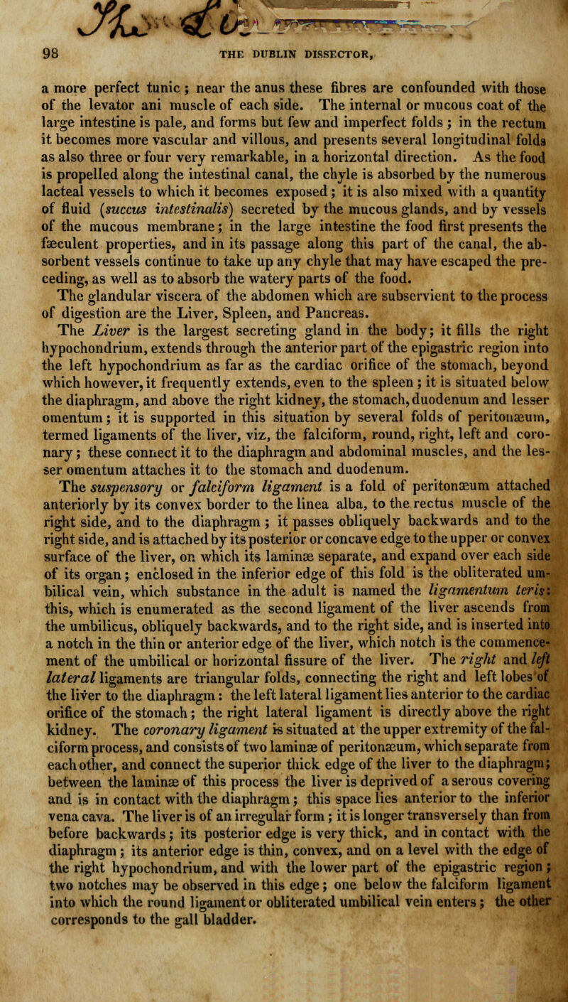 a more perfect tunic ; near the anus these fibres are confounded with those of the levator ani muscle of each side. The internal or mucous coat of the large intestine is pale, and forms but few and imperfect folds ; in the rectum it becomes more vascular and villous, and presents several longitudinal folds as also three or four very remarkable, in a horizontal direction. As the food is propelled along the intestinal canal, the chyle is absorbed by the numerous lacteal vessels to which it becomes exposed; it is also mixed with a quantity of fluid (succus intestinalis) secreted by the mucous glands, and by vessels of the mucous membrane; in the large intestine the food first presents the faeculent properties, and in its passage along this part of the canal, the ab- sorbent vessels continue to take up any chyle that may have escaped the pre- ceding, as well as to absorb the watery parts of the food. The glandular viscera of the abdomen which are subservient to the process of digestion are the Liver, Spleen, and Pancreas. The Liver is the largest secreting gland in the body; it fills the right hypochondrium, extends through the anterior part of the epigastric region into the left hypochondrium as far as the cardiac orifice of the stomach, beyond which however, it frequently extends, even to the spleen ; it is situated below the diaphragm, and above the right kidney, the stomach, duodenum and lesser omentum; it is supported in this situation by several folds of peritonaeum, termed ligaments of the liver, viz, the falciform, round, right, left and coro- nary ; these connect it to the diaphragm and abdominal muscles, and the les- ser omentum attaches it to the stomach and duodenum. The suspensory or falciform ligament is a fold of peritonaeum attached anteriorly by its convex border to the linea alba, to the rectus muscle of the right side, and to the diaphragm ; it passes obliquely backwards and to the right side, and is attached by its posterior or concave edge to the upper or convex surface of the liver, on which its laminae separate, and expand over each side of its organ; enclosed in the inferior edge of this fold is the obliterated um- bilical vein, which substance in the adult is named the ligamentum teris: this, which is enumerated as the second ligament of the liver ascends from the umbilicus, obliquely backwards, and to the right side, and is inserted into a notch in the thin or anterior edge of the liver, which notch is the commence- ment of the umbilical or horizontal fissure of the liver. The right and left lateral ligaments are triangular folds, connecting the right and left lobes of the liver to the diaphragm: the left lateral ligament lies anterior to the cardiac orifice of the stomach; the right lateral ligament is directly above the right kidney. The coronary ligament is situated at the upper extremity of the fal- ciform process, and consists of two laminae of peritonaeum, which separate from each other, and connect the superior thick edge of the liver to the diaphragm; between the laminae of this process the liver is deprived of a serous covering and is in contact with the diaphragm; this space lies anterior to the inferior vena cava. The liver is of an irregular form; it is longer transversely than from before backwards; its posterior edge is very thick, and in contact with the diaphragm ; its anterior edge is thin, convex, and on a level with the edge of the right hypochondrium, and with the lower part of the epigastric region ; two notches may be observed in this edge; one below the falciform ligament into which the round ligament or obliterated umbilical vein enters; the other corresponds to the gall bladder.