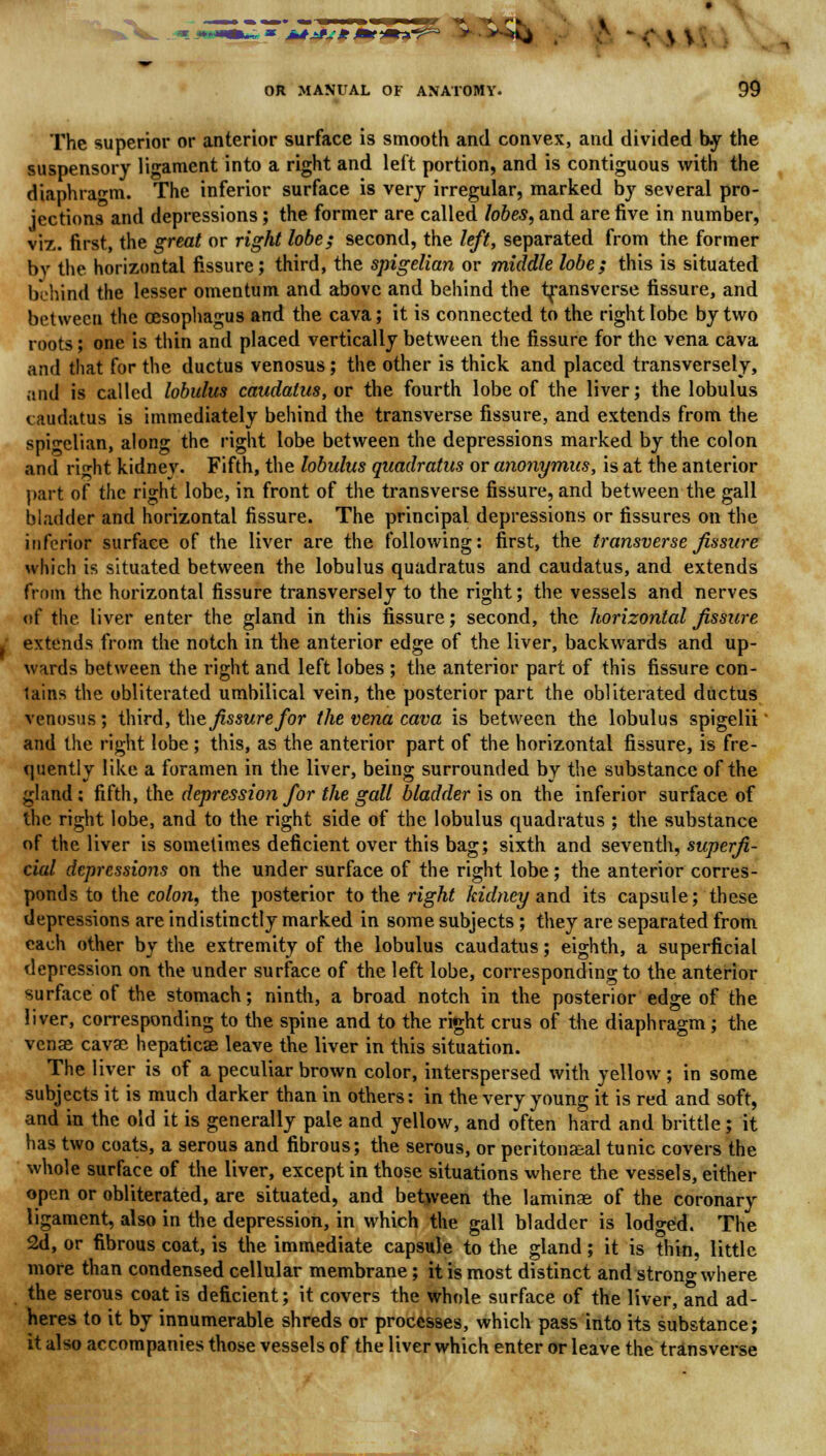 The superior or anterior surface is smooth and convex, and divided by the suspensory ligament into a right and left portion, and is contiguous with the diaphragm. The inferior surface is very irregular, marked by several pro- jections and depressions; the former are called lobes, and are five in number, viz. first, the great or right lobe; second, the left, separated from the former by the horizontal fissure; third, the spigelian or middle lobe; this is situated behind the lesser omentum and above and behind the transverse fissure, and between the oesophagus and the cava; it is connected to the right lobe by two roots; one is thin and placed vertically between the fissure for the vena cava and that for the ductus venosus; the other is thick and placed transversely, and is called lobulus caudatus, or the fourth lobe of the liver; the lobulus caudatus is immediately behind the transverse fissure, and extends from the spigelian, along the right lobe between the depressions marked by the colon and right kidney. Fifth, the lobulus quadratus or anonymus, is at the anterior part of the right lobe, in front of the transverse fissure, and between the gall bladder and horizontal fissure. The principal depressions or fissures on the inferior surface of the liver are the following: first, the transverse fissure which is situated between the lobulus quadratus and caudatus, and extends from the horizontal fissure transversely to the right; the vessels and nerves of the liver enter the gland in this fissure; second, the horizontal fissure extends from the notch in the anterior edge of the liver, backwards and up- wards between the right and left lobes ; the anterior part of this fissure con- tains the obliterated umbilical vein, the posterior part the obliterated ductus venosus; third, the fissure for the vena cava is between the lobulus spigelii and the right lobe ; this, as the anterior part of the horizontal fissure, is fre- quently like a foramen in the liver, being surrounded by the substance of the gland ; fifth, the depression for the gall bladder is on the inferior surface of the right lobe, and to the right side of the lobulus quadratus ; the substance of the liver is sometimes deficient over this bag; sixth and seventh, superfi- cial depressions on the under surface of the right lobe; the anterior corres- ponds to the colon, the posterior to the right kidney and its capsule; these depressions are indistinctly marked in some subjects ; they are separated from each other by the extremity of the lobulus caudatus; eighth, a superficial depression on the under surface of the left lobe, corresponding to the anterior surface of the stomach; ninth, a broad notch in the posterior edge of the liver, corresponding to the spine and to the right crus of the diaphragm; the venae cavae hepaticae leave the liver in this situation. The liver is of a peculiar brown color, interspersed with yellow ; in some subjects it is much darker than in others: in the very young it is red and soft, and in the old it is generally pale and yellow, and often hard and brittle; it has two coats, a serous and fibrous; the serous, or peritoneal tunic covers the whole surface of the liver, except in those situations where the vessels, either open or obliterated, are situated, and between the laminae of the coronary ligament, also in the depression, in which the gall bladder is lodged. The 2d, or fibrous coat, is the immediate capsule to the gland; it is thin, little more than condensed cellular membrane; it is most distinct and strong where the serous coat is deficient; it covers the whole surface of the liver, and ad- heres to it by innumerable shreds or processes, which pass into its substance; it also accompanies those vessels of the liver which enter or leave the transverse