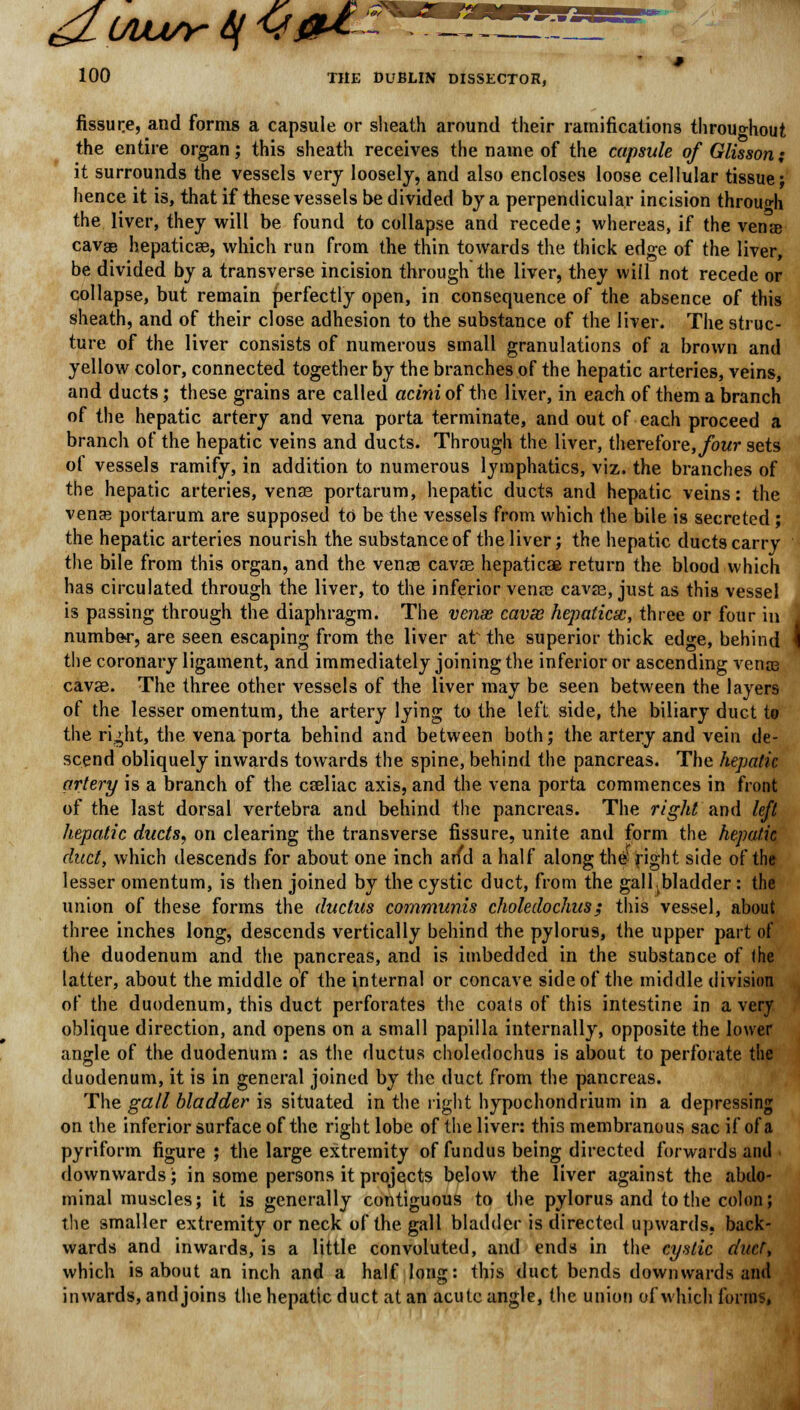 fissure, and forms a capsule or sheath around their ramifications throughout the entire organ; this sheath receives the name of the capsule of Glisson; it surrounds the vessels very loosely, and also encloses loose cellular tissue ; hence it is, that if these vessels be divided by a perpendicular incision through the liver, they will be found to collapse and recede; whereas, if the vena cavae hepaticee, which run from the thin towards the thick edge of the liver, be divided by a transverse incision through the liver, they will not recede or collapse, but remain perfectly open, in consequence of the absence of this sheath, and of their close adhesion to the substance of the liver. The struc- ture of the liver consists of numerous small granulations of a brown and yellow color, connected together by the branches of the hepatic arteries, veins, and ducts; these grains are called acini of the liver, in each of them a branch of the hepatic artery and vena porta terminate, and out of each proceed a branch of the hepatic veins and ducts. Through the liver, therefore, four sets of vessels ramify, in addition to numerous lymphatics, viz. the branches of the hepatic arteries, venae portarum, hepatic ducts and hepatic veins: the venae portarum are supposed to be the vessels from which the bile is secreted ; the hepatic arteries nourish the substance of the liver; the hepatic ducts carry the bile from this organ, and the venos cavae hepaticae return the blood which has circulated through the liver, to the inferior vena? cavas, just as this vessel is passing through the diaphragm. The vense cavze hepaticsc, three or four in . number, are seen escaping from the liver at the superior thick edge, behind i the coronary ligament, and immediately joining the inferior or ascending venos cavae. The three other vessels of the liver may be seen between the layers of the lesser omentum, the artery lying to the left side, the biliary duct to the ri^ht, the vena porta behind and between both; the artery and vein de- scend obliquely inwards towards the spine, behind the pancreas. The hepatic artery is a branch of the cseliac axis, and the vena porta commences in front of the last dorsal vertebra and behind the pancreas. The right and left hepatic ducts, on clearing the transverse fissure, unite and form the hepatic duct, which descends for about one inch arfd a half along th# right side of the lesser omentum, is then joined by the cystic duct, from the gall,bladder: the union of these forms the ductus communis choledochus ; this vessel, about three inches long, descends vertically behind the pylorus, the upper part of the duodenum and the pancreas, and is imbedded in the substance of the latter, about the middle of the internal or concave side of the middle division of the duodenum, this duct perforates the coats of this intestine in a very oblique direction, and opens on a small papilla internally, opposite the lower angle of the duodenum: as the ductus choledochus is about to perforate the duodenum, it is in general joined by the duct from the pancreas. The gall bladder is situated in the light hypochondrium in a depressing on the inferior surface of the right lobe of the liver: this membranous sac if of a pyriform figure ; the large extremity of fundus being directed forwards anil downwards; in some persons it projects below the liver against the abdo- minal muscles; it is generally contiguous to the pylorus and to the colon; the smaller extremity or neck of the gall bladder is directed upwards, back- wards and inwards, is a little convoluted, and ends in the cystic duct, which is about an inch and a half long: this duct bends downwards and inwards, and joins the hepatic duct at an acute angle, the union of which forms,