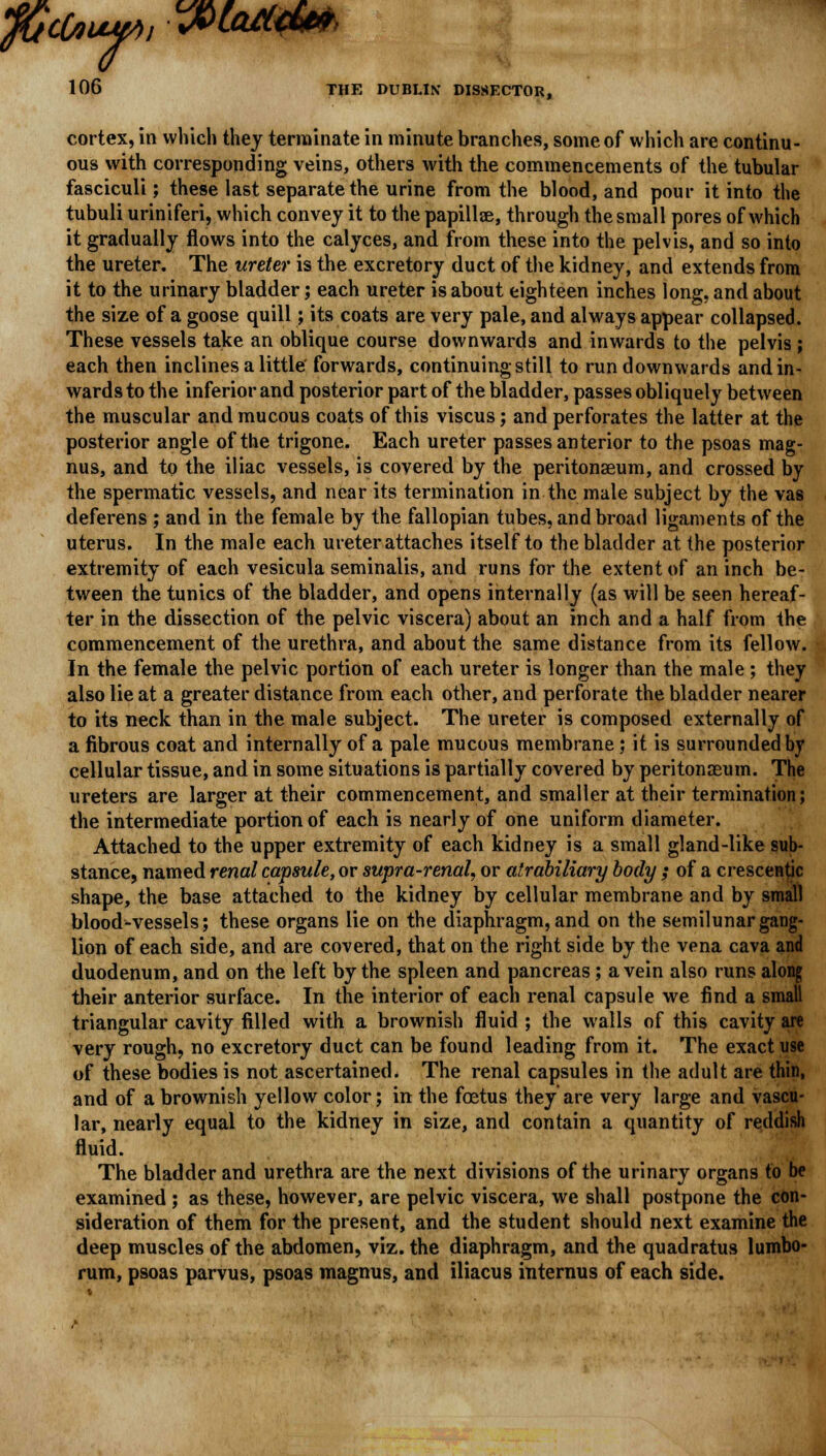 fGcOium, Wham 106 THE DUBLIN* DISSECTOR, cortex, in which they terminate in minute branches, some of which are continu- ous with corresponding veins, others with the commencements of the tubular fasciculi; these last separate the urine from the blood, and pour it into the tubuli uriniferi, which convey it to the papillae, through the small pores of which it gradually flows into the calyces, and from these into the pelvis, and so into the ureter. The ureter is the excretory duct of the kidney, and extends from it to the urinary bladder; each ureter is about eighteen inches long, and about the size of a goose quill; its coats are very pale, and always appear collapsed. These vessels take an oblique course downwards and inwards to the pelvis ; each then inclines a little' forwards, continuing still to run downwards and in- wards to the inferior and posterior part of the bladder, passes obliquely between the muscular and mucous coats of this viscus; and perforates the latter at the posterior angle of the trigone. Each ureter passes anterior to the psoas mag- nus, and to the iliac vessels, is covered by the peritonaeum, and crossed by the spermatic vessels, and near its termination in the male subject by the vas deferens ; and in the female by the fallopian tubes, and broad ligaments of the uterus. In the male each ureter attaches itself to the bladder at the posterior extremity of each vesicula seminalis, and runs for the extent of an inch be- tween the tunics of the bladder, and opens internally (as will be seen hereaf- ter in the dissection of the pelvic viscera) about an inch and a half from the commencement of the urethra, and about the same distance from its fellow. In the female the pelvic portion of each ureter is longer than the male ; they also lie at a greater distance from each other, and perforate the bladder nearer to its neck than in the male subject. The ureter is composed externally of a fibrous coat and internally of a pale mucous membrane; it is surrounded by cellular tissue, and in some situations is partially covered by peritonaeum. The ureters are larger at their commencement, and smaller at their termination; the intermediate portion of each is nearly of one uniform diameter. Attached to the upper extremity of each kidney is a small gland-like sub- stance, named renal capsule, or supra-renal, or atrabiliary body ; of a crescentic shape, the base attached to the kidney by cellular membrane and by small blood-vessels; these organs lie on the diaphragm, and on the semilunar gang- lion of each side, and are covered, that on the right side by the vena cava and duodenum, and on the left by the spleen and pancreas ; a vein also runs along their anterior surface. In the interior of each renal capsule we find a small triangular cavity filled with a brownish fluid ; the walls of this cavity are very rough, no excretory duct can be found leading from it. The exact use of these bodies is not ascertained. The renal capsules in the adult are thin, and of a brownish yellow color; in the foetus they are very large and vascu- lar, nearly equal to the kidney in size, and contain a quantity of reddish fluid. The bladder and urethra are the next divisions of the urinary organs to be examined ; as these, however, are pelvic viscera, we shall postpone the con- sideration of them for the present, and the student should next examine the deep muscles of the abdomen, viz. the diaphragm, and the quadratus lumbo- rum, psoas parvus, psoas magnus, and iliacus internus of each side.