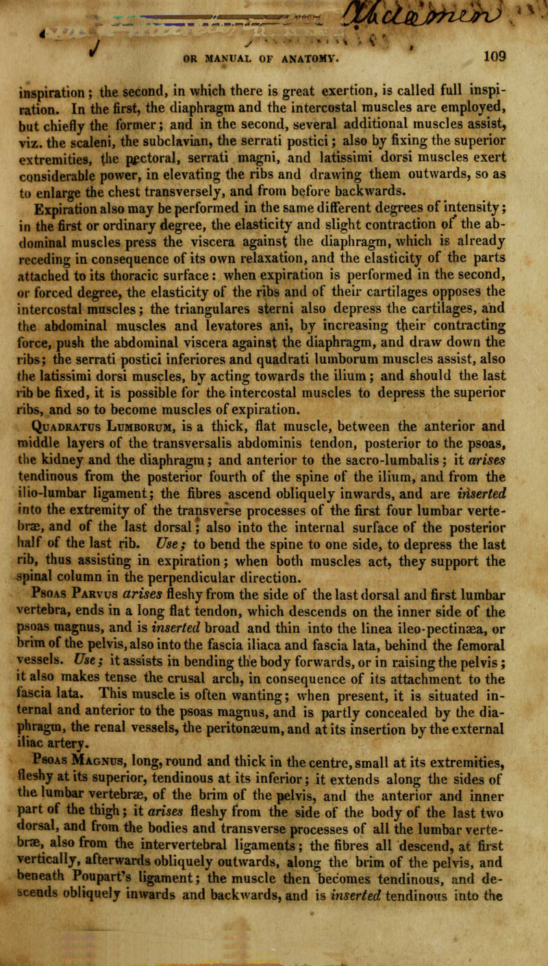 i {X^clJ^H^hJ w ™ OR MANUAL OF ANATOMY. 109 inspiration; the second, in which there is great exertion, is called full inspi- ration. In the first, the diaphragm and the intercostal muscles are employed, but chiefly the former; and in the second, several additional muscles assist, viz. the scaleni, the subclavian, the serrati postici; also by fixing the superior extremities, the pectoral, serrati magni, and latissimi dorsi muscles exert considerable power, in elevating the ribs and drawing them outwards, so as to enlarge the chest transversely, and from before backwards. Expiration also may be performed in the same different degrees of intensity; in the first or ordinary degree, the elasticity and slight contraction or the ab- dominal muscles press the viscera against the diaphragm, which is already receding in consequence of its own relaxation, and the elasticity of the parts attached to its thoracic surface: when expiration is performed in the second, or forced degree, the elasticity of the ribs and of their cartilages opposes the intercostal muscles; the triangulares aterni also depress the cartilages, and the abdominal muscles and levatores ani, by increasing their contracting force, push the abdominal viscera against the diaphragm, and draw down the ribs; the serrati postici inferiores and quadrati lumborum muscles assist, also the latissimi dorsi muscles, by acting towards the ilium; and should the last rib be fixed, it is possible for the intercostal muscles to depress the superior ribs, and so to become muscles of expiration. Quadratus Lumborum, is a thick, flat muscle, between the anterior and middle layers of the transversalis abdominis tendon, posterior to the psoas, the kidney and the diaphragm; and anterior to the sacro-lumbalis; it arises tendinous from the posterior fourth of the spine of the ilium, and from the ilio-lumbar ligament; the fibres ascend obliquely inwards, and are inserted into the extremity of the transverse processes of the first four lumbar verte- bra, and of the last dorsal; also into the internal surface of the posterior half of the last rib. Use; to bend the spine to one side, to depress the last rib, thus assisting in expiration; when both muscles act, they support the spinal column in the perpendicular direction. Psoas Parvus arises fleshy from the side of the last dorsal and first lumbar vertebra, ends in a long flat tendon, which descends on the inner side of the psoas magnus, and is inserted broad and thin into the linea ileo-pectinaea, or brim of the pelvis, also into the fascia iliaca and fascia lata, behind the femoral vessels. Use ; it assists in bending the body forwards, or in raising the pelvis; it also makes tense the crusal arch, in consequence of its attachment to the fascia lata. This muscle is often wanting; when present, it is situated in- ternal and anterior to the psoas magnus, and is partly concealed by the dia- phragm, the renal vessels, the peritonaeum, and at its insertion by the external iliac artery. PaoAs Magnus, long, round and thick in the centre, small at its extremities, fleshy at its superior, tendinous at its inferior; it extends along the sides of the lumbar vertebras, of the brim of the pelvis, and the anterior and inner part of the thigh; it arises fleshy from the side of the body of the last two dorsal, and from the bodies and transverse processes of all the lumbar verte- brae, also from the intervertebral ligaments; the fibres all descend, at first vertically, afterwards obliquely outwards, along the brim of the pelvis, and beneath Poupart's ligament; the muscle then becomes tendinous, and de- scends obliquely inwards and backwards, and is inserted tendinous into the