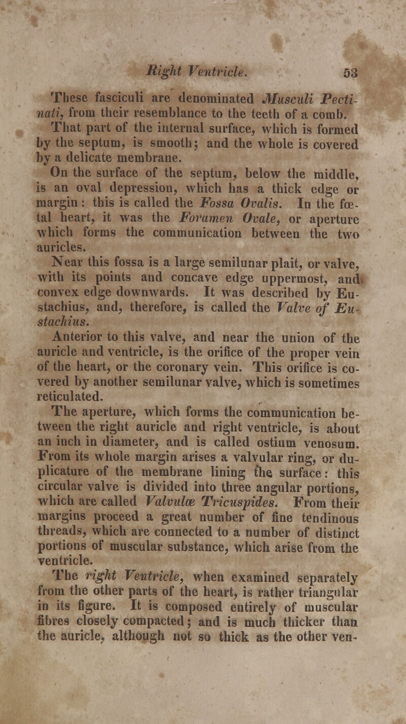 These fasciculi are denominated Musculi Pecti- nati, from their resemblance to the teeth of a comh. That part of the internal surface, which is formed by the septum, is smooth; and the whole is covered by a delicate membrane. On the surface of the septum, below the middle, is an oval depression, which has a thick edge or margin : this is called the Fossa Ovalis. In the foe- tal heart, it was the Foramen Ovale, or aperture which forms the communication between the two auricles. Near this fossa is a large semilunar plait, or valve, with its points and concave edge uppermost, and. convex edge downwards. It was described by Eu- stachius, and, therefore, is called the Valve of Eu- stachius. Anterior to this valve, and near the union of the auricle and ventricle, is the orifice of the proper vein of the heart, or the coronary vein. This orifice is co- vered by another semilunar valve, which is sometimes reticulated. The aperture, which forms the communication be- tween the right auricle and right ventricle, is about an inch in diameter, and is called ostium venosum. From its whole margin arises a valvular ring, or du- plicature of the membrane lining {he. surface: this circular valve is divided into three angular portions, which are called Valvulce Tricuspides. From their margins proceed a great number of fine tendinous threads, which are connected to a number of distinct portions of muscular substance, which arise from the ventricle. The right Ventricle, when examined separately from the other parts of the heart, is rather triangular in its figure. It is composed entirely of muscular fibres closely compacted; and is much thicker than the auricle, although not so thick as the other ven-
