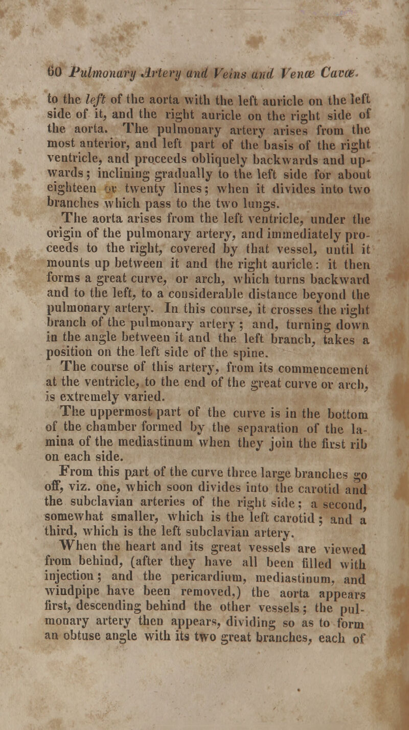 to the left of the aorta with the left auricle on the left side of it, and the right auricle on the right side of the aorta. The pulmonary artery arises from the most anterior, and left part of the basis of the right ventricle, and proceeds obliquely backwards and up- wards ; inclining gradually to the left side for about eighteen or twenty lines; when it divides into two branches which pass to the two lungs. The aorta arises from the left ventricle, under the origin of the pulmonary artery, and immediately pro- ceeds to the right, covered by that vessel, until it mounts up between it and the right auricle: it then forms a great curve, or arch, which turns backward and to the left, to a considerable distance beyond the pulmonary artery. In this course, it crosses the right branch of the pulmonary artery ; and, turning down in the angle between it and the left branch, takes a position on the left side of the spine. The course of this artery, from its commencement at the ventricle, to the end of the great curve or arch, is extremely varied. The uppermost part of the curve is in the bottom of the chamber formed by the separation of the la- mina of the mediastinum when they join the first rib on each side. From this part of the curve three large branches °-o off, viz. one, which soon divides into the carotid and the subclavian arteries of the right side; a second, somewhat smaller, which is the left carotid; and a third, which is the left subclavian artery. When the heart and its great vessels are viewed from behind, (after they have all been filled with injection; and the pericardium, mediastinum, and windpipe have been removed,) the aorta appears first, descending behind the other vessels; the pul- monary artery then appears, dividing so as to form an obtuse angle with its two great branches, each of