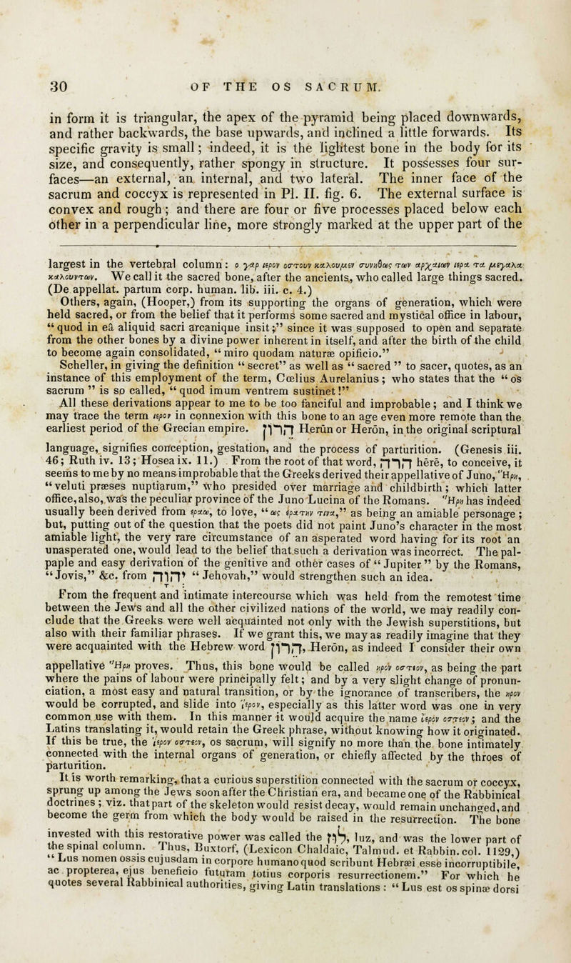 in form it is triangular, the apex of the pyramid being placed downwards, and rather backwards, the base upwards, and inclined a little forwards. Its specific gravity is small; indeed, it is the lightest bone in the body for its size, and consequently, rather spongy in structure. It possesses four sur- faces—an external, an internal, and two lateral. The inner face of the sacrum and coccyx is represented in PI. II. fig. 6. The external surface is convex and rough; and there are four or five processes placed below each other in a perpendicular line, more strongly marked at the upper part of the largest in the vertebral column: o yap itpov oo-tosv na.K-ovfx.iv o-uvnQas ryv ap%itiu% «p* ra. [Aiyuxct xxxovvtw. We call it the sacred bone, after the ancients., who called large things sacred. (De appellat. partum corp. human, lib. iii. c. 4.) Others, again, (Hooper,) from its supporting the organs of generation, which were held sacred, or from the belief that it performs some sacred and mystical office in labour,  quod in ea aliquid sacri arcanique insit; since it was supposed to open and separate from the other bones by a divine power inherent in itself, and after the birth of the child to become again consolidated, miro quodam naturae opificio. Scheller, in giving the definition  secret as well as  sacred  to sacer, quotes, as an instance of this employment of the term, Ccelius Aurelanius; who states that the o's sacrum  is so called, quod imum ventrem sustinet! All these derivations appear to me to be too fanciful and improbable; and I think we may trace the term np°v in connexion with this bone to an age even more remote than the earliest period of the Grecian empire. T\~\7) Herun or Heron, in the original scriptural language, signifies conception, gestation, and the process of parturition. (Genesis iii. 46; Ruthiv. 13; Hoseaix. 11.) From the root of that word, (Hf! h§r&'to conceive, it seems to me by no means improbable that the Greeks derived their appellative of Juno, Hp», veluti praeses nuptiarum, who presided over marriage and childbirth; which latter office, also, was the peculiar province of the Juno Lucina of the Romans. H/>» has indeed usually been derived from */>*&>, to love, a? ip*™ t«, as being an amiable personage ; but, putting out of the question that the poets did not paint Juno's character in the most amiable light, the very rare circumstance of an asperated word having for its root an unasperated one, would lead to the belief thafsuch a derivation was incorrect. The pal- paple and easy derivation of the genitive and other cases of Jupiter by the Romans,  Jovis, &c. from HliT  Jehovah, would strengthen such an idea. t : From the frequent and intimate intercourse which was held from the remotest time between the Jews and all the other civilized nations of the world, we may readily con- clude that the Greeks were well acquainted not only with the Jewish superstitions, but also with their familiar phrases. If we grant this, we may as readily imagine that they were acquainted with the Hebrew word [1*in» Heron, as indeed I consider their own appellative Bpi proves. Thus, this bone would be called upov oo-rtov, as being the part where the pains of labour were principally felt; and by a very sJight change of pronun- ciation, a most easy and natural transition, or by the ignorance of transcribers, the upov would be corrupted, and slide into fyov, especially as this latter word was one in very common use with them. In this manner it would acquire the name Upov cs-tssv; and the Latins translating it, would retain the Greek phrase, without knowing how it originated. If this be true, the 'hpov oo-rw, os sacrum, will signify no more than the bone intimately connected with the internal organs of generation, or chiefly affected by the throes of parturition. It is worth remarking, that a curious superstition connected with the sacrum or coccyx, sprung up among the Jews soon after the Christian era, and became one of the Rabbinical doctrines ; viz. that part of the skeleton would resist decay, would remain unchanged, and become the germ from which the body would be raised in the resurrection. The bone invested with this restorative power was called the f$j luz, and was the lower part of the spinal column. Thus, Buxtorf, (Lexicon Chaldaic, Talmud, et Rabbin, col. 1129,) Lus nomenossiscujusdam incorpore humanoquod scribunt Hebrsei esse incorruptible ac propterea, ejus beneficio futuram totius corporis resurrectionem. For which he quotes several Rabbinical authorities, giving Latin translations :  Lus est os spina? dorsi