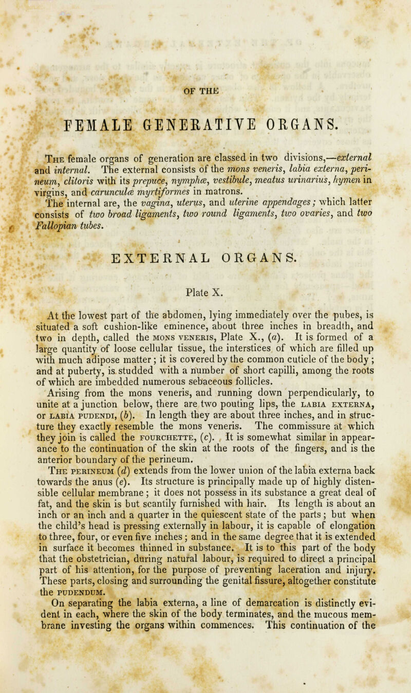 OF THE FEMALE GENERATIVE ORGANS. The female organs of generation are classed in two divisions,—external and internal. The external consists of the mons veneris, labia externa, peri- neum, clitoris with its prepuce, nymphce, vestibule, meatus urinarius, hymen in virgins, and carunculce myrtiformes in matrons. The internal are, the vagina, uterus, and uterine appendages; which latter consists of two broad ligaments, two round ligaments, two ovaries, and two Fallopian tubes. EXTERNAL ORGANS. Plate X. At the lowest part of the abdomen, lying immediately over the pubes, is situated a soft cushion-like eminence, about three inches in breadth, and two in depth, called the mons veneris, Plate X., (a). It is formed of a large quantity of loose cellular tissue, the interstices of which are filled up with much adipose matter; it is covered by the common cuticle of the body ; and at puberty, is studded with a number of short capilli, among the roots of which are imbedded numerous sebaceous follicles. Arising from the mons veneris, and running down perpendicularly, to unite at a junction below, there are two pouting lips, the labia externa, or labia pudendi, (b). In length they are about three inches, and in struc- ture they exactly resemble the mons veneris. The commissure at which they join is called the fourchette, (c). It is somewhat similar in appear- ance to the continuation of the skin at the roots of the fingers, and is the anterior boundary of the perineum. The perineum (d) extends from the lower union of the labia externa back towards the anus (e). Its structure is principally made up of highly disten- sible cellular membrane; it does not possess in its substance a great deal of fat, and the skin is but scantily furnished with hair. Its length is about an inch or an inch and a quarter in the quiescent state of the parts; but when the child's head is pressing externally in labour, it is capable of elongation to three, four, or even five inches ; and in the same degree that it is extended in surface it becomes thinned in substance. It is to this part of the body that the obstetrician, during natural labour, is required to direct a principal part of his attention, for the purpose of preventing laceration and injury. These parts, closing and surrounding the genital fissure, altogether constitute the pudendum. On separating the labia externa, a line of demarcation is distinctly evi- dent in each, where the skin of the body terminates, and the mucous mem- brane investing the organs within commences. This continuation of the