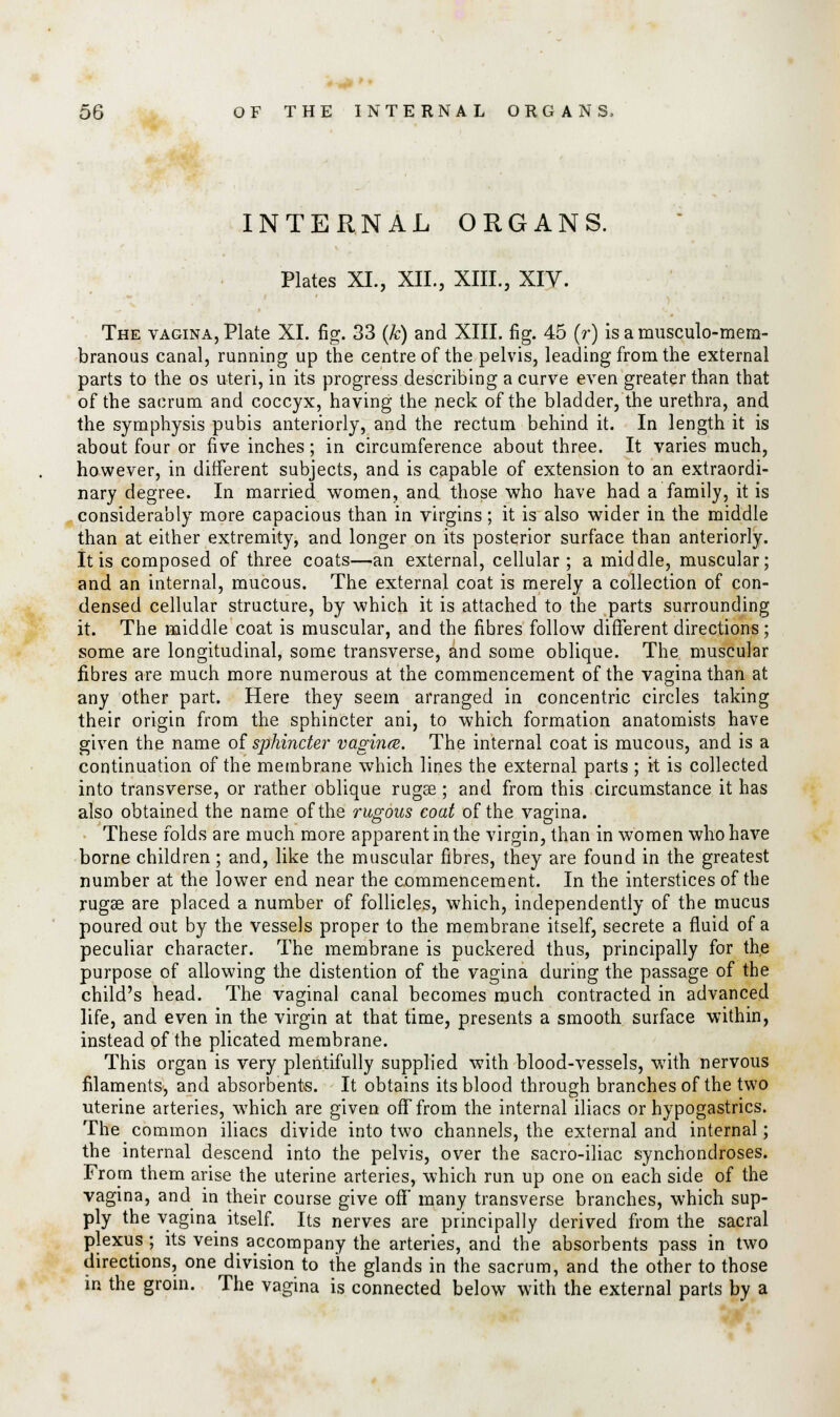 INTERNAL ORGANS. Plates XL, XII., XIII., XIV. The vagina, Plate XI. fig. 33 (k) and XIII. fig. 45 (r) is a musculo-mera- branous canal, running up the centre of the pelvis, leading from the external parts to the os uteri, in its progress describing a curve even greater than that of the sacrum and coccyx, having the neck of the bladder, the urethra, and the symphysis pubis anteriorly, and the rectum behind it. In length it is about four or five inches; in circumference about three. It varies much, however, in different subjects, and is capable of extension to an extraordi- nary degree. In married women, and those who have had a family, it is considerably more capacious than in virgins; it is also wider in the middle than at either extremity, and longer on its posterior surface than anteriorly. It is composed of three coats—an external, cellular; a middle, muscular; and an internal, mucous. The external coat is merely a collection of con- densed cellular structure, by which it is attached to the parts surrounding it. The middle coat is muscular, and the fibres follow different directions; some are longitudinal, some transverse, and some oblique. The muscular fibres are much more numerous at the commencement of the vagina than at any other part. Here they seem arranged in concentric circles taking their origin from the sphincter ani, to which formation anatomists have given the name of sphincter vagina. The internal coat is mucous, and is a continuation of the membrane which lines the external parts ; it is collected into transverse, or rather oblique rugae; and from this circumstance it has also obtained the name of the rugous coat of the vagina. These folds are much more apparent in the virgin, than in women who have borne children; and, like the muscular fibres, they are found in the greatest number at the lower end near the commencement. In the interstices of the rugae are placed a number of follicles, which, independently of the mucus poured out by the vessels proper to the membrane itself, secrete a fluid of a peculiar character. The membrane is puckered thus, principally for the purpose of allowing the distention of the vagina during the passage of the child's head. The vaginal canal becomes much contracted in advanced life, and even in the virgin at that time, presents a smooth surface within, instead of the plicated membrane. This organ is very plentifully supplied with blood-vessels, with nervous filaments, and absorbents. It obtains its blood through branches of the two uterine arteries, which are given off from the internal iliacs or hypogastrics. The common iliacs divide into two channels, the external and internal; the internal descend into the pelvis, over the sacro-iliac synchondroses. From them arise the uterine arteries, which run up one on each side of the vagina, and in their course give off many transverse branches, which sup- ply the vagina itself. Its nerves are principally derived from the sacral plexus ; its veins accompany the arteries, and the absorbents pass in two directions, one division to the glands in the sacrum, and the other to those in the groin. The vagina is connected below with the external parts by a