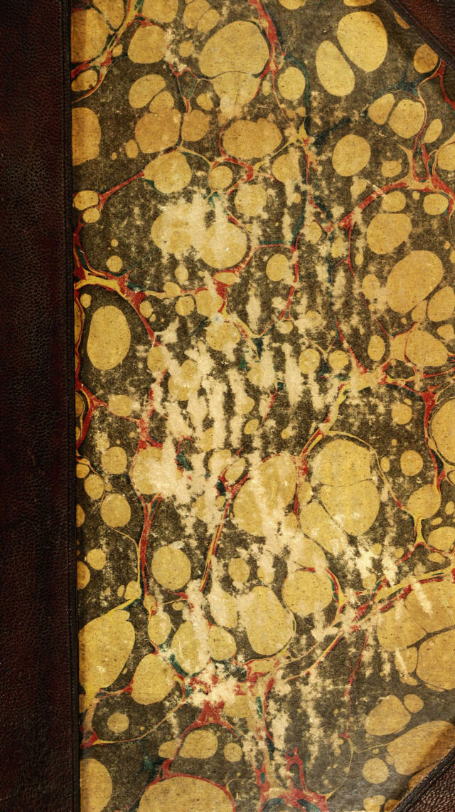 No text description is available for this image