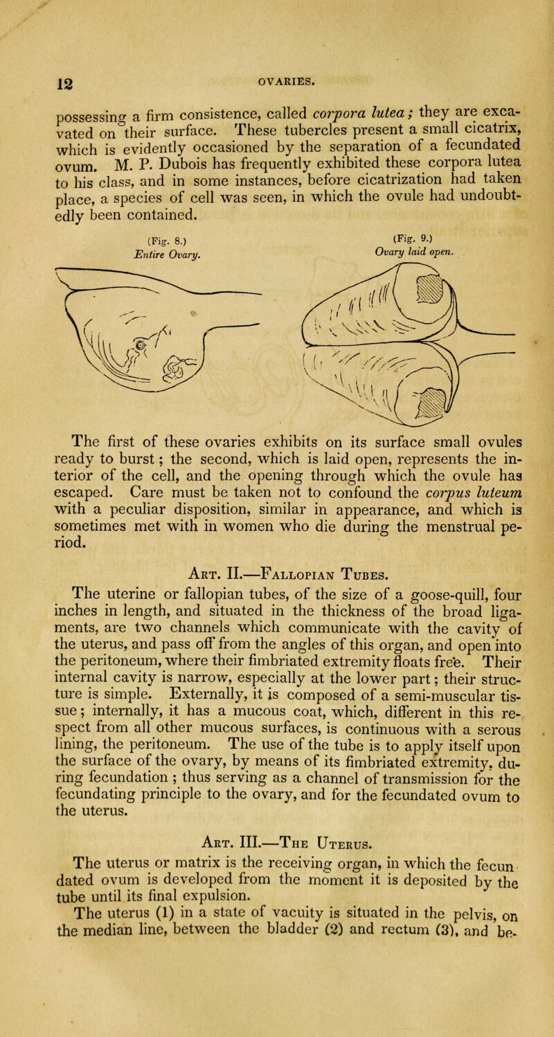 13 OVARIES. possessing a firm consistence, called corpora lutea; they are exca- vated on their surface. These tubercles present a small cicatrix, which is evidently occasioned by the separation of a fecundated ovum. M. P. Dubois has frequently exhibited these corpora lutea to his class, and in some instances, before cicatrization had taken place, a species of cell was seen, in which the ovule had undoubt- edly been contained. (Fig. 8.) Entire Ovary. (Fig-. 9.) Ovary laid open. The first of these ovaries exhibits on its surface small ovules ready to burst; the second, which is laid open, represents the in- terior of the cell, and the opening through which the ovule has escaped. Care must be taken not to confound the corpus luteum with a peculiar disposition, similar in appearance, and which is sometimes met with in women who die during the menstrual pe- riod. Art. II.—Fallopian Tubes. The uterine or fallopian tubes, of the size of a goose-quill, four inches in length, and situated in the thickness of the broad liga- ments, are two channels which communicate with the cavity of the uterus, and pass off from the angles of this organ, and open into the peritoneum, where their fimbriated extremity floats free. Their internal cavity is narrow, especially at the lower part; their struc- ture is simple. Externally, it is composed of a semi-muscular tis- sue ; internally, it has a mucous coat, which, different in this re- spect from all other mucous surfaces, is continuous with a serous lining, the peritoneum. The use of the tube is to apply itself upon the surface of the ovary, by means of its fimbriated extremity, du- ring fecundation ; thus serving as a channel of transmission for the fecundating principle to the ovary, and for the fecundated ovum to the uterus. Art. III.—The Uterus. The uterus or matrix is the receiving organ, in which the fecun dated ovum is developed from the moment it is deposited by the tube until its final expulsion. The uterus (1) in a state of vacuity is situated in the pelvis, on