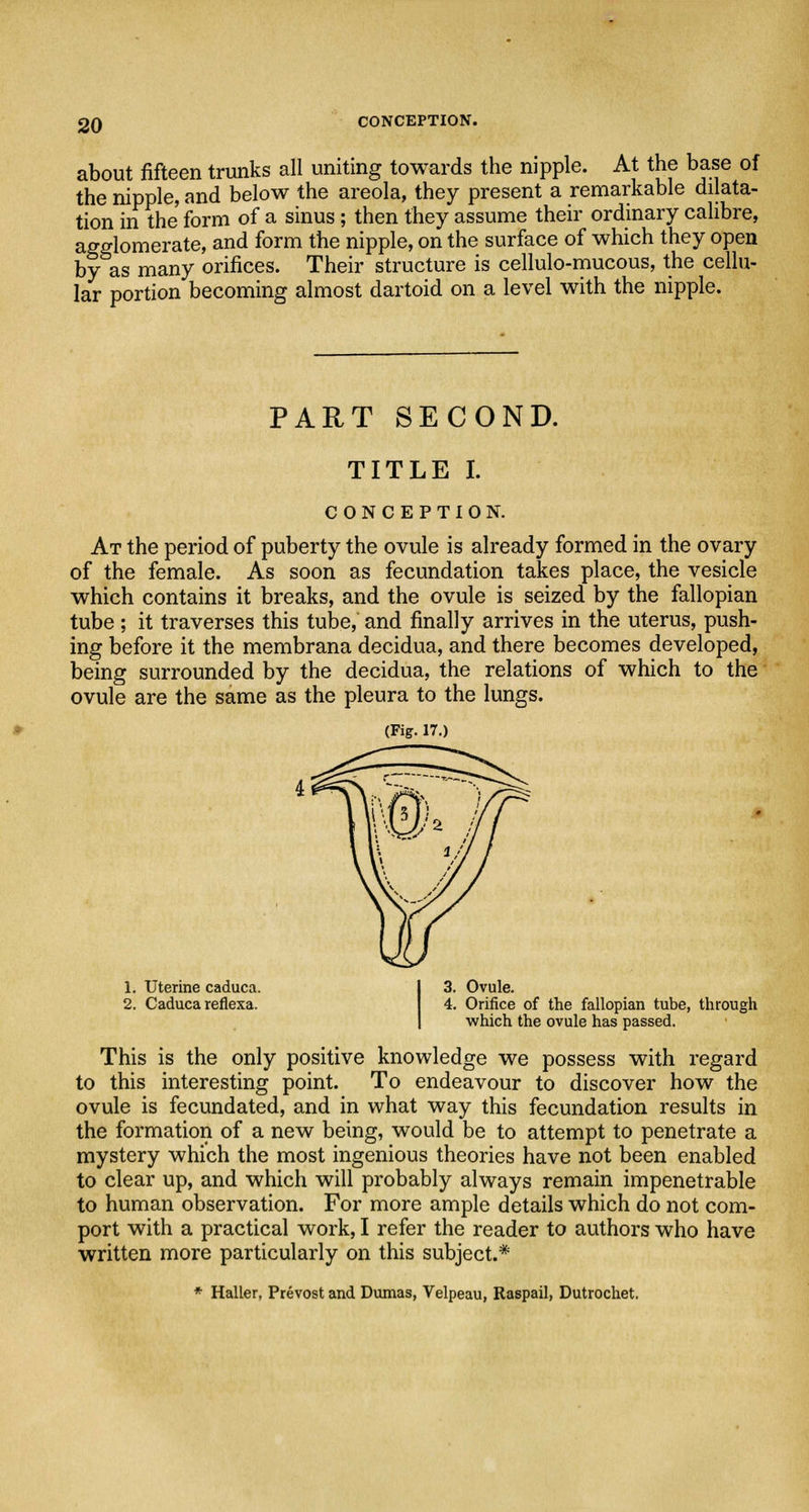 CONCEPTION. about fifteen trunks all uniting towards the nipple. At the base of the nipple, and below the areola, they present a remarkable dilata- tion in the form of a sinus; then they assume their ordinary calibre, agglomerate, and form the nipple, on the surface of which they open by as many orifices. Their structure is cellulo-mucous, the cellu- lar portion becoming almost dartoid on a level with the nipple. PART SECOND. TITLE I. CONCEPTION. At the period of puberty the ovule is already formed in the ovary of the female. As soon as fecundation takes place, the vesicle which contains it breaks, and the ovule is seized by the fallopian tube ; it traverses this tube, and finally arrives in the uterus, push- ing before it the membrana decidua, and there becomes developed, being surrounded by the decidua, the relations of which to the ovule are the same as the pleura to the lungs. (Fig. 17.) 1. Uterine caduca. 3. Ovule. 2. Caduca reflexa. 4. Orifice of the fallopian tube, through which the ovule has passed. This is the only positive knowledge we possess with regard to this interesting point. To endeavour to discover how the ovule is fecundated, and in what way this fecundation results in the formation of a new being, would be to attempt to penetrate a mystery which the most ingenious theories have not been enabled to clear up, and which will probably always remain impenetrable to human observation. For more ample details which do not com- port with a practical work, I refer the reader to authors who have written more particularly on this subject.* * Haller, Prevost and Dumas, Velpeau, Raspail, Dutrochet.