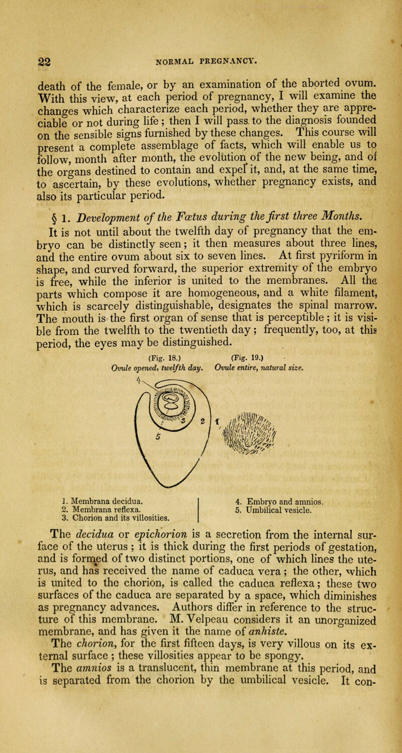 death of the female, or by an examination of the aborted ovum. With this view, at each period of pregnancy, I will examine the changes which characterize each period, whether they are appre- ciable or not during life ; then I will pass, to the diagnosis founded on the sensible signs furnished by these changes. This course will present a complete assemblage of facts, which will enable us to follow, month after month, the evolution of the new being, and of the organs destined to contain and expel' it, and, at the same time, to ascertain, by these evolutions, whether pregnancy exists, and also its particular period. § 1. Development of the Foetus during the first three Months. It is not until about the twelfth day of pregnancy that the em- bryo can be distinctly seen; it then measures about three lines, and the entire ovum about six to seven lines. At first pyriform in shape, and curved forward, the superior extremity of the embryo is free, while the inferior is united to the membranes. All the parts which compose it are homogeneous, and a white filament, which is scarcely distinguishable, designates the spinal marrow. The mouth is the first organ of sense that is perceptible; it is visi- ble from the twelfth to the twentieth day; frequently, too, at this period, the eyes may be distinguished. (Fig. 18.) Ovule opened, twelfth day. (Fig. 19.) Ovule entire, natural size. 2. Membrana decidua. 2. Membrana reflexa. 3. Chorion and its villosities. 4. Embryo and amnios. 5. Umbilical vesicle. The decidua or epichorion is a secretion from the internal sur- face of the uterus ; it is thick during the first periods of gestation, and is formed of two distinct portions, one of which lines the ute- rus, and has received the name of caduca vera; the other, which is united to the chorion, is called the caduca reflexa; these two surfaces of the caduca are separated by a space, which diminishes as pregnancy advances. Authors differ in reference to the struc- ture of this membrane. M. Velpeau considers it an unorganized membrane, and has given it the name of anhiste. The chorion, for the first fifteen days, is very villous on its ex- ternal surface ; these villosities appear to be spongy. The amnios is a translucent, thin membrane at this period, and is separated from the chorion by the umbilical vesicle. It con-