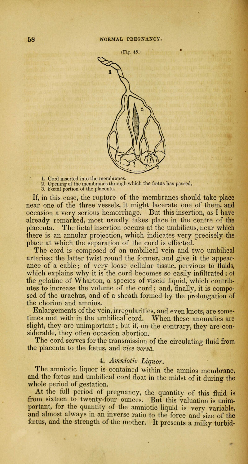 (Fig. 48.) 1. Cord inserted into the membranes. 2. Opening of the membranes through which the foetus has passed. 3. Foetal portion of the placenta. If, in this case, the rupture of the membranes should take place near one of the three vessels, it might lacerate one of them, and occasion a very serious hemorrhage. But this insertion, as I have already remarked, most usually takes place in the centre of the placenta. The foetal insertion occurs at the umbilicus, near which there is an annular projection, which indicates very precisely the place at which the separation of the cord is effected. The cord is composed of an umbilical vein and two umbilical arteries; the latter twist round the former, and give it the appear- ance of a cable; of very loose cellular tissue, pervious to fluids, which explains why it is the cord becomes so easily infiltrated; ol the gelatine of Wharton, a species of viscid liquid, which contrib- utes to- increase the volume of the cord ; and, finally, it is compo- sed of the urachus, and of a sheath formed by the prolongation of the chorion and amnios. Enlargements of the vein, irregularities, and even knots, are some- times met with in the umbilical cord. When these anomalies are slight, they are unimportant; but if, on the contrary, they are con- siderable, they often occasion abortion. The cord serves for the transmission of the circulating fluid from the placenta to the foetus, and vice versa. 4. Amniotic Liquor. The amniotic liquor is contained within the amnios membrane, and the foetus and umbilical cord float in the midst of it during the whole period of gestation. At the full period of pregnancy, the quantity of this fluid is from sixteen to twenty-four ounces. But this valuation is unim- portant, for the quantity of the amniotic liquid is very variable, and almost always in an inverse ratio to the force and size of the foetus, and the strength of the mother. It presents a milky turbid-