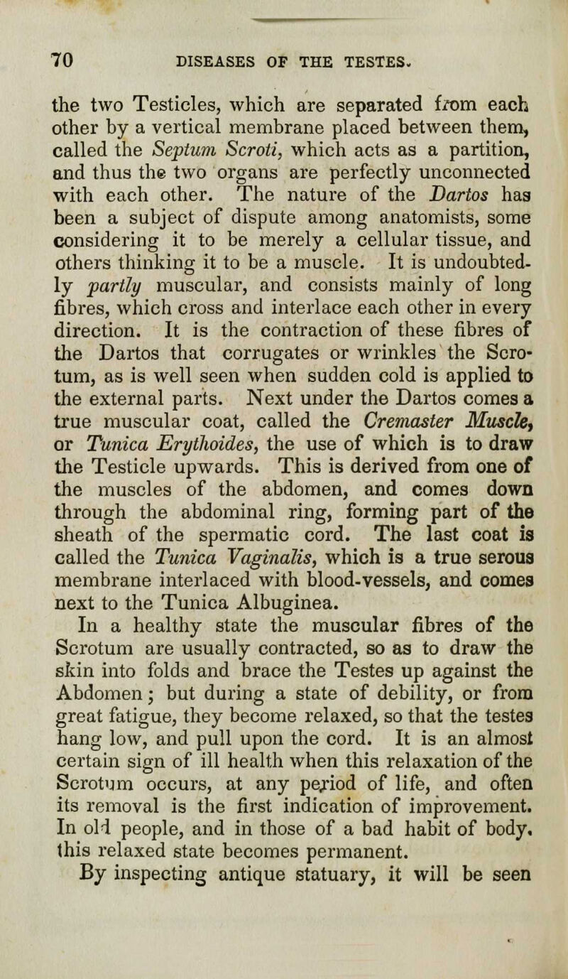 the two Testicles, which are separated from each other by a vertical membrane placed between them, called the Septum Scroti, which acts as a partition, and thus the two organs are perfectly unconnected with each other. The nature of the Dartos has been a subject of dispute among anatomists, some considering it to be merely a cellular tissue, and others thinking it to be a muscle. It is undoubted- ly partly muscular, and consists mainly of long fibres, which cross and interlace each other in every direction. It is the contraction of these fibres of the Dartos that corrugates or wrinkles the Scro- tum, as is well seen when sudden cold is applied to the external parts. Next under the Dartos comes a true muscular coat, called the Cremaster Muscle, or Tunica Erythoides, the use of which is to draw the Testicle upwards. This is derived from one of the muscles of the abdomen, and comes down through the abdominal ring, forming part of the sheath of the spermatic cord. The last coat is called the Tunica Vaginalis, which is a true serous membrane interlaced with blood-vessels, and comes next to the Tunica Albuginea. In a healthy state the muscular fibres of the Scrotum are usually contracted, so as to draw the skin into folds and brace the Testes up against the Abdomen; but during a state of debility, or from great fatigue, they become relaxed, so that the testes hang low, and pull upon the cord. It is an almost certain sign of ill health when this relaxation of the Scrotum occurs, at any period of life, and often its removal is the first indication of improvement. In old people, and in those of a bad habit of body, this relaxed state becomes permanent. By inspecting antique statuary, it will be seen