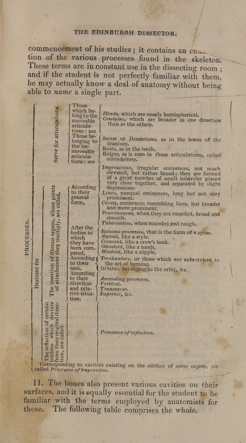 commeuceraent of his studies ; it contains an enu^ tion of the various processes found in the skeleton; These terms are in constant use in the dissecting room ; and if the student is not perfectly familiar with them,' he may actually know a deal of anatomy without being able to name a single part. Those which be- long to the moveable articula- tions : are Those be- longring to the im- moveable articulap itions: are Heads, which are neaily hemispherical. Condyles, which are broader in one direction th,in in the others. a , '3t> ? OS 03 3S S >• II OJ3 II ^ 03 .9 « According to their general form. After the bodies to which SerrtB or Dentations, as in the bcHies of the cranium. Roots, as in the teeth. Ridges, as is seen in those articulations, called schindyleses,' Impressions, irregular eminences, not much elevated, but rather broad; they are formed of a great number of small tubercles placed very close together, and separated by slight depressions. Lines, unequal eminences, long but not very prominent. Crests, eminences resembling lines, but broader and more prominent. Prominences, when they are rounded, broad and smooth. t Tuberosities, when rounded and rough. Spinous processes, that is the form of a spine, wiucii J Styloid, like a style, they have | Coracoid, like a crow's beak, been com. Odontoid, like a tooth, pared, [ Mastoid, like a nipple. According ( Trochanters, or those which are subservient to to their ^ the art of turning, uses, (. Orbitar, belonging to the orbit, Ac According r to their I Ascending processes. direction J Vertical. and rela- 1 Transverse. tive situa. | Superior, &c. j tion ^= S P o Processes of reflection. Corresponding to cavities existing on the surface of some organs, are y^c&ll&i Processes of impression. 11. The bones also present various cavities on their surfaces, and it is equally essential for the student to be familiar with the terms employed by anatomists for these. The following table comprises the whole.